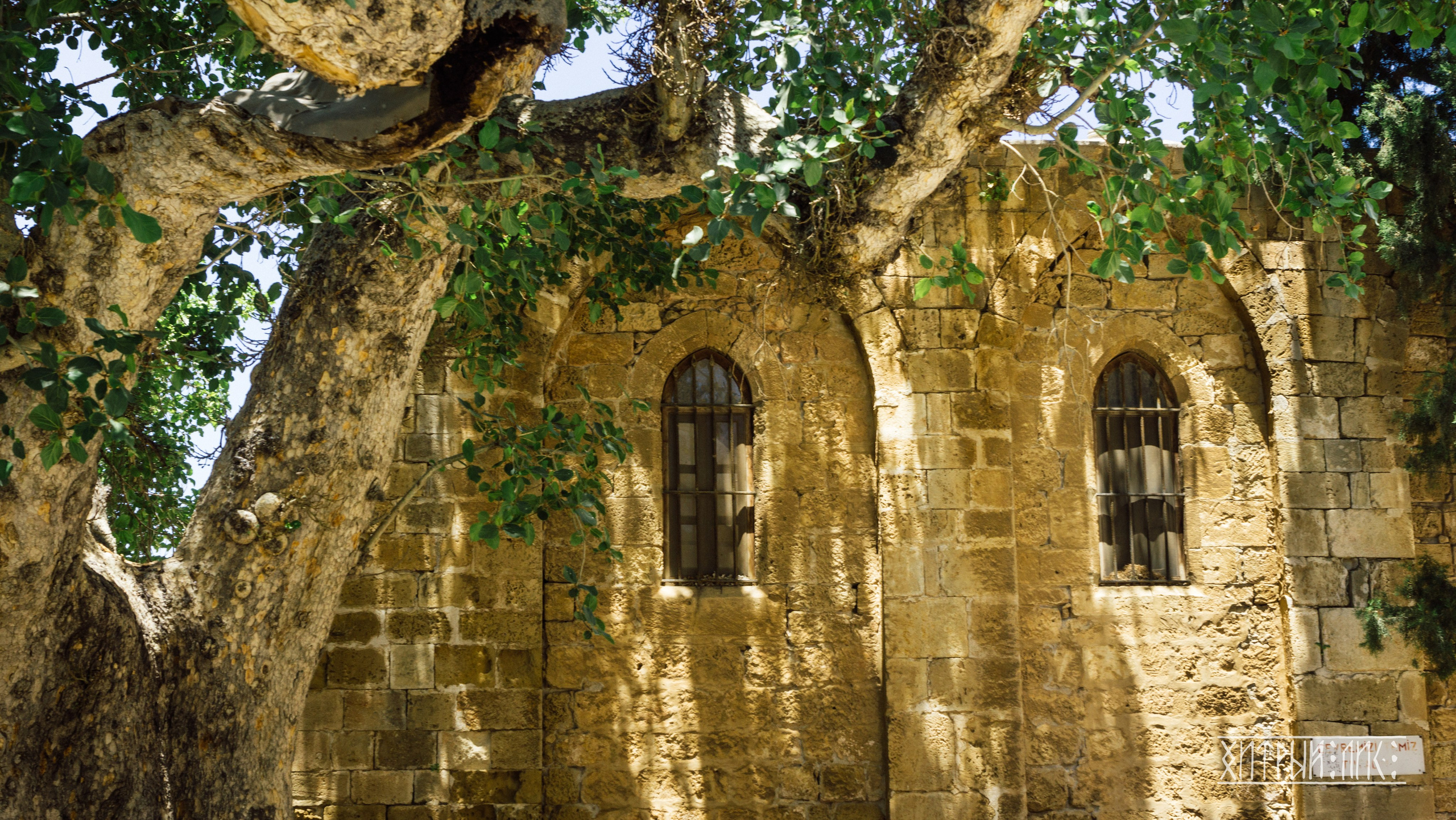 Кипр. Фотограф-путешественник Самойлов Максим «Sly Fox»