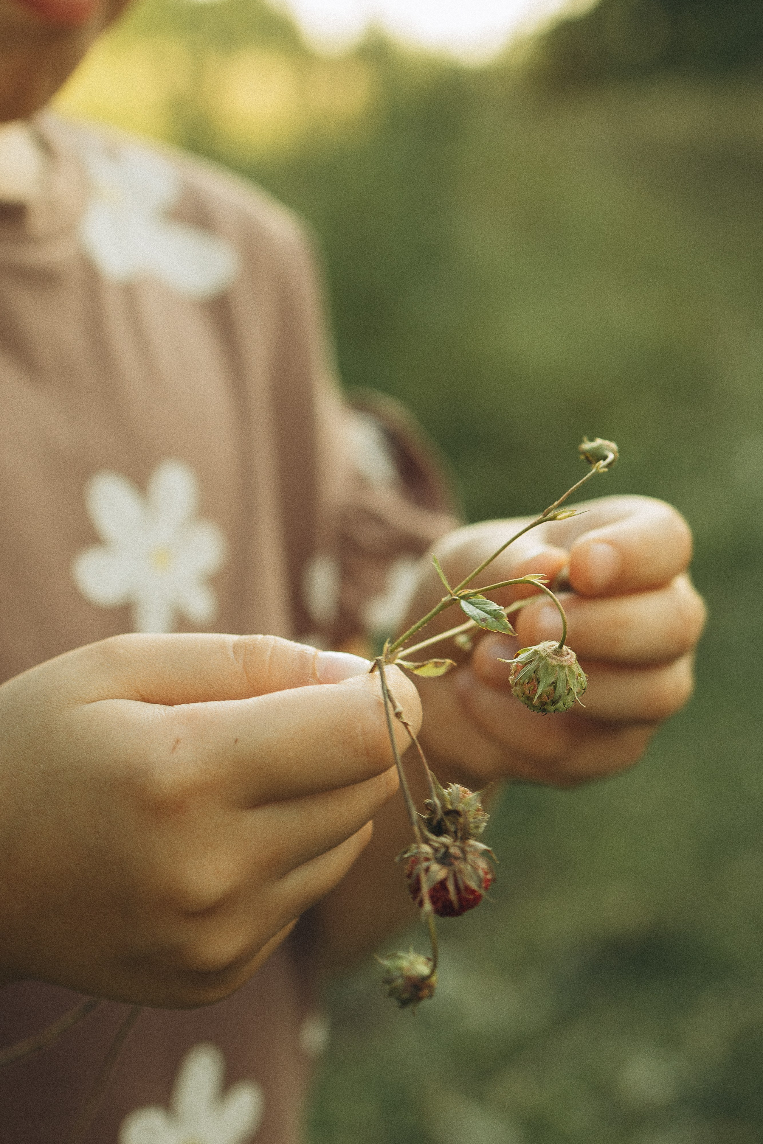 На природе. Семейный фотограф Новосибирск Фотограф на выписку Новосибирск