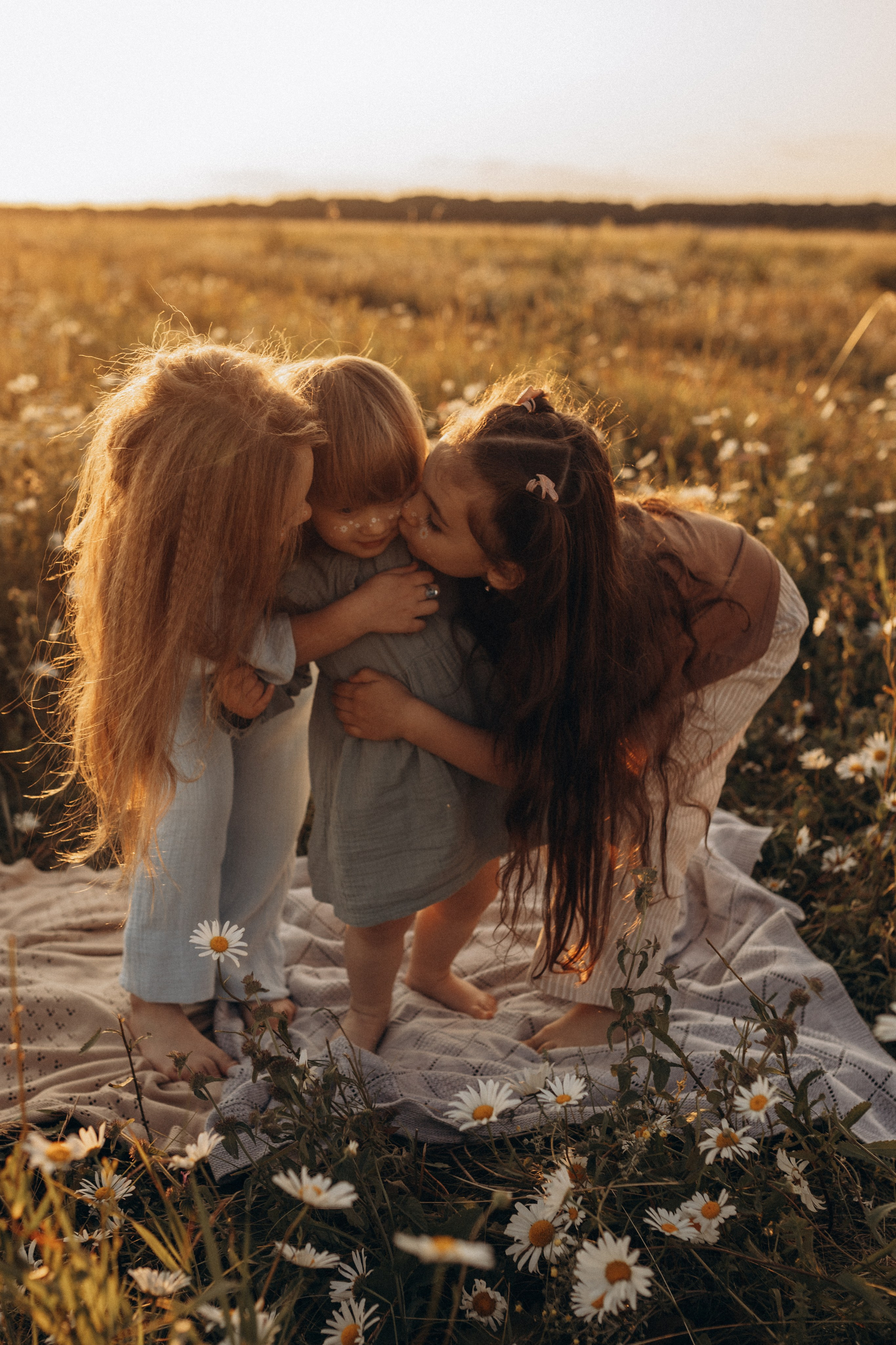 Закат на ромашковом поле. Фотограф в Ставрополе Svetlana Matveeva