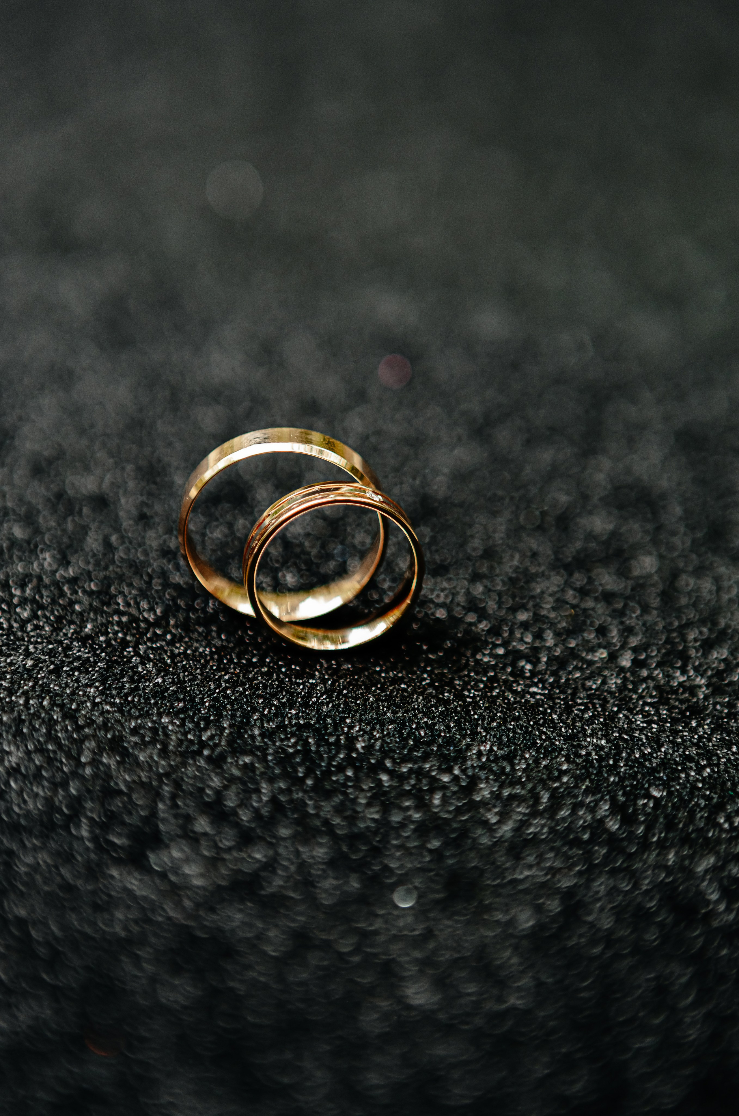 Р+В. ЗАГС и прогулка. Семейный и свадебный фотограф в Волгограде Мария Богданова