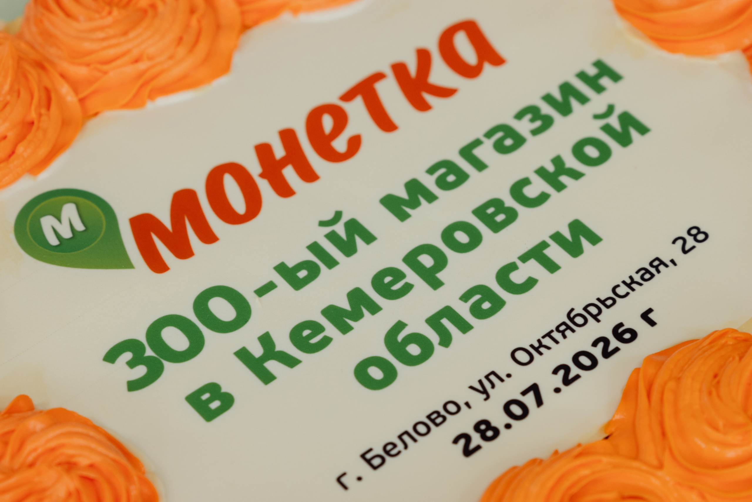 Открытие монетки. Фотограф Анастасия Фомина