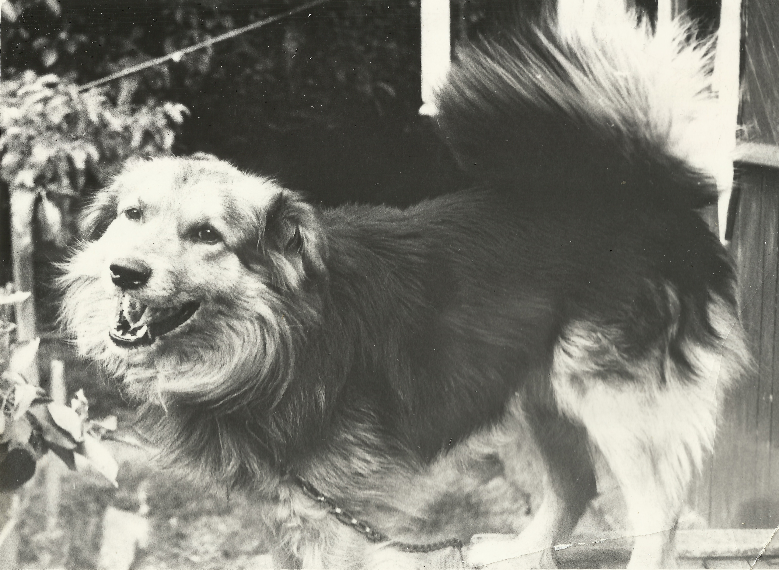 Покраска чёрно-белых фотографий. TOXASNIP Photo | Антон Маслёнкин