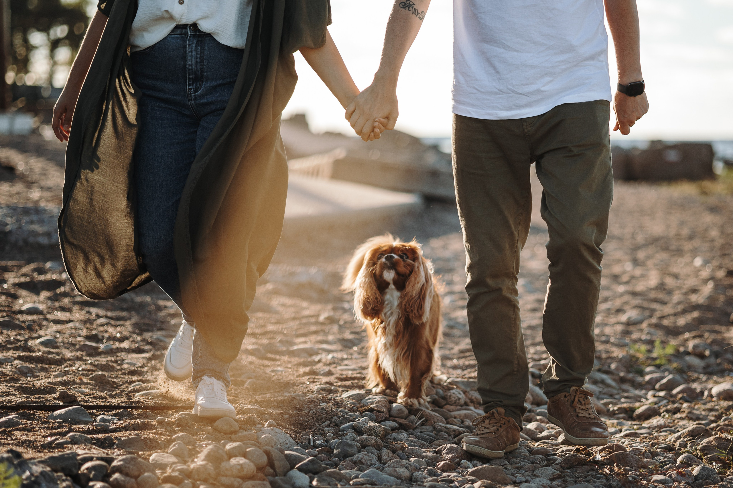 Верон, Гарри и их семья. Фотограф — Анималист | Санкт-Петербург