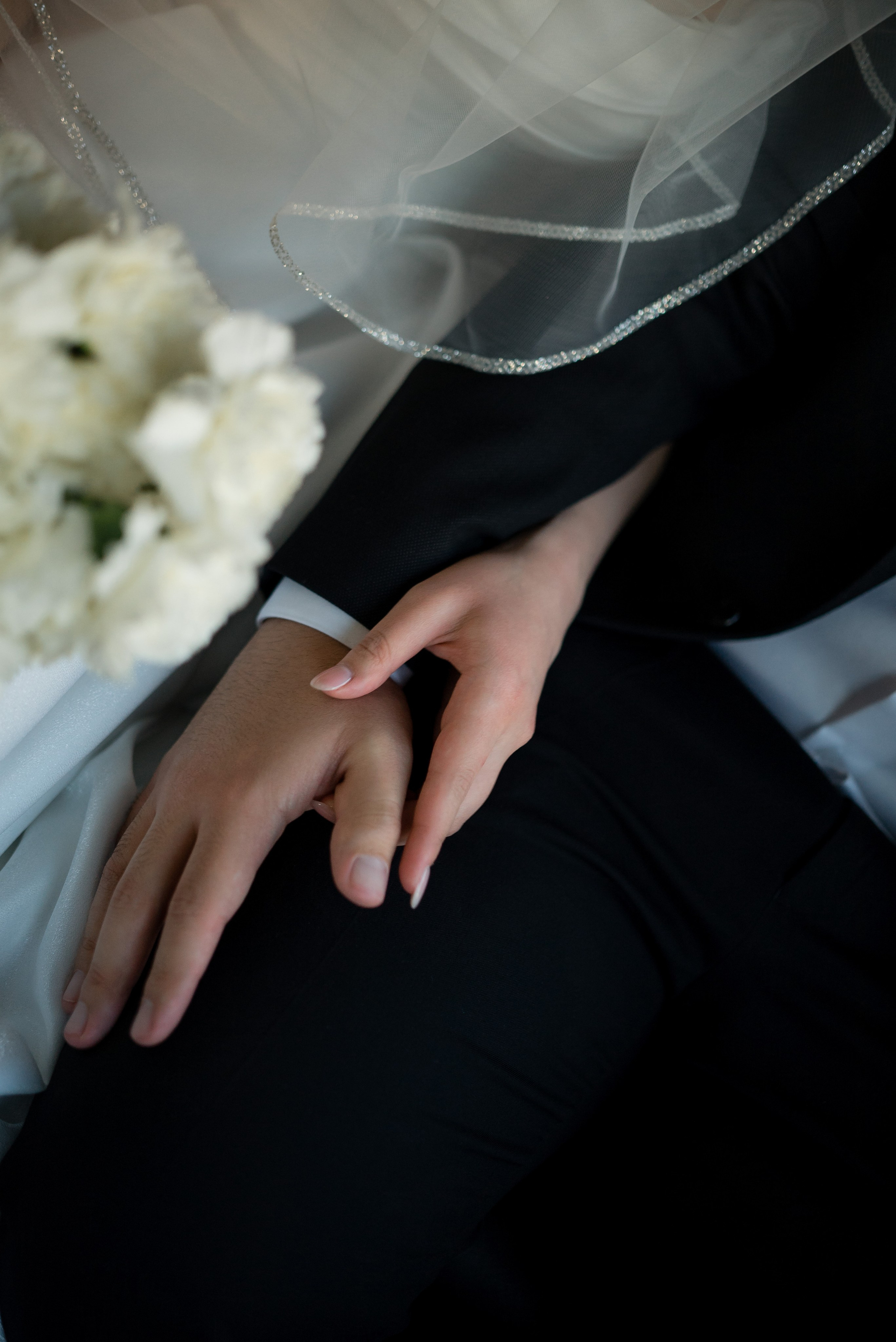 Давид и Альбина. Свадебный и портретный фотограф