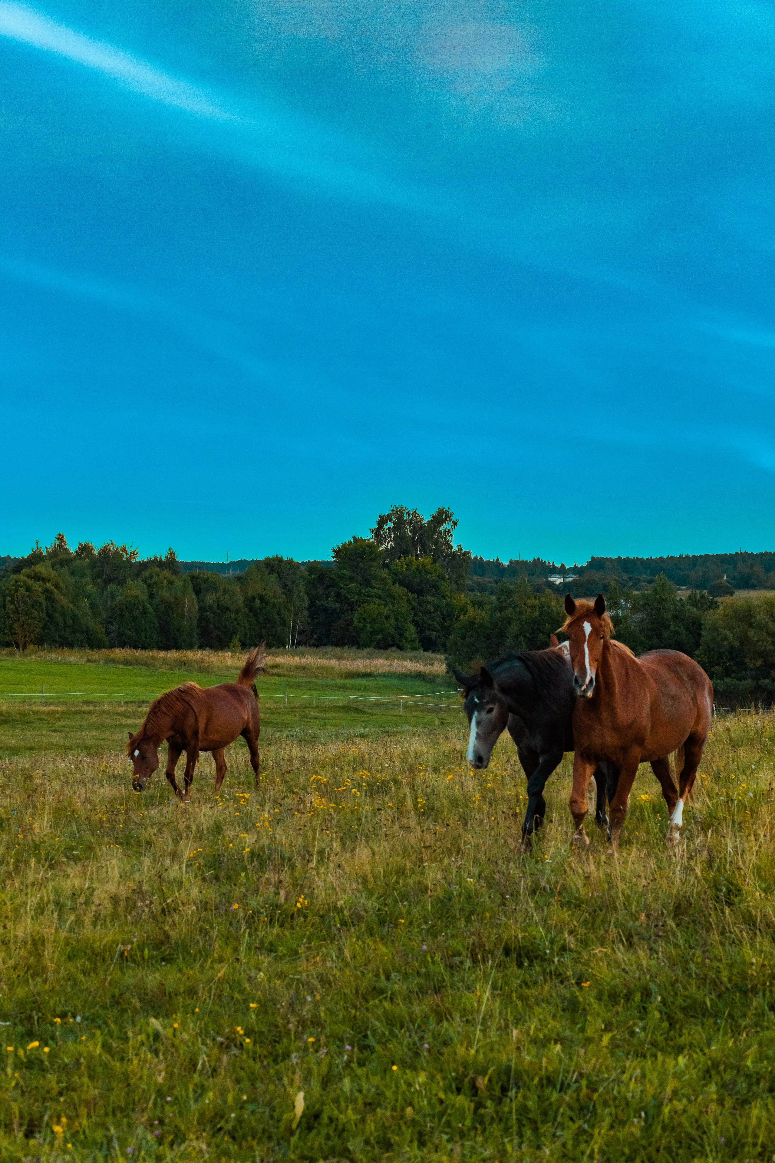 Деревня Мишнево | Калужская область. Папка кадров 📁