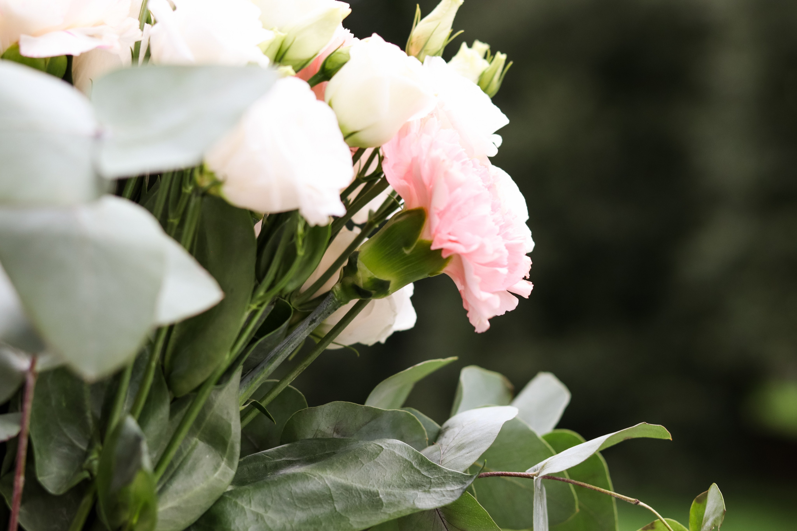 Свадьба Дарии и Дмитрия. Репортажный фотограф в Москве и Зеленограде Karina-vozd