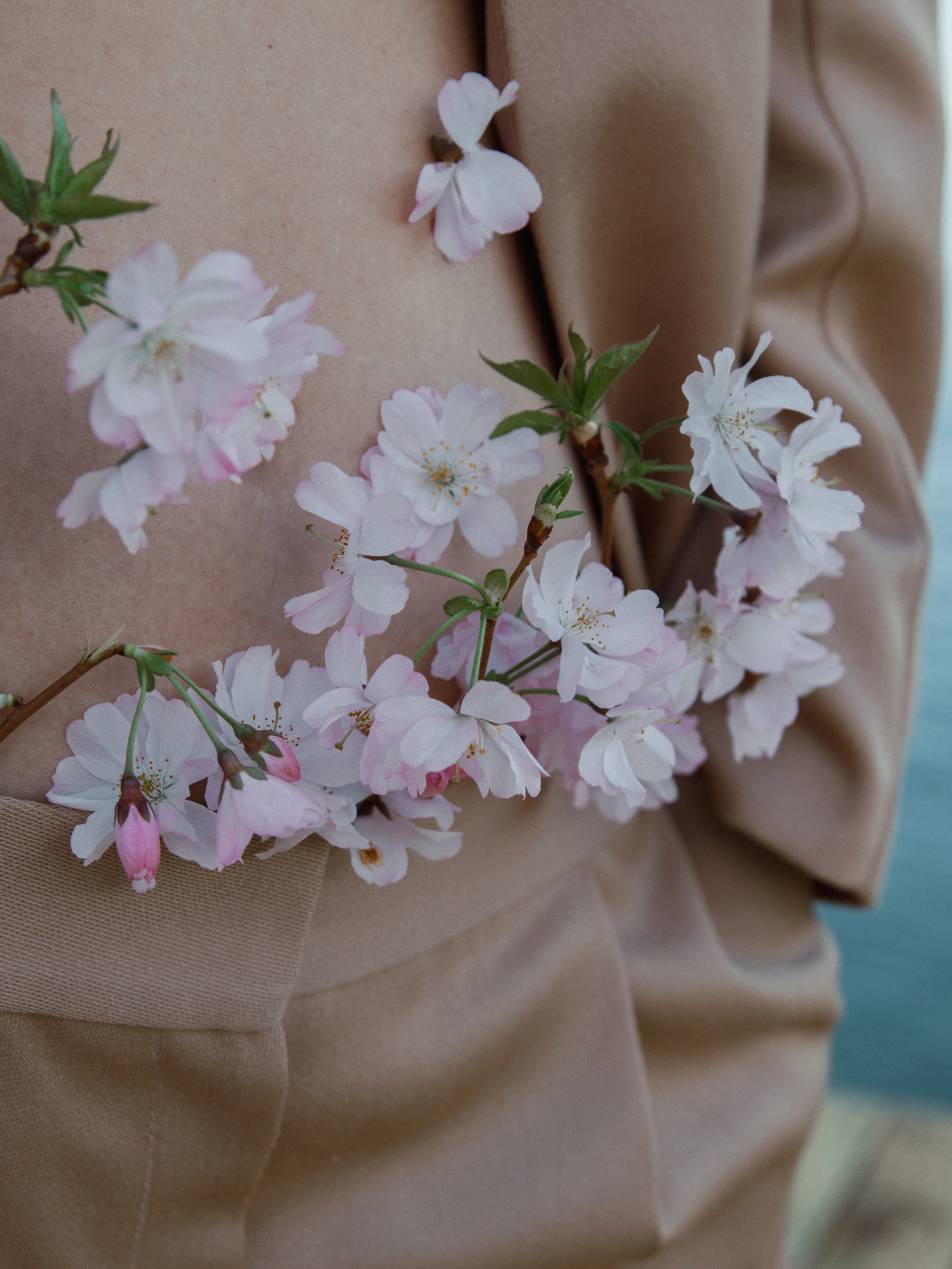 Nana Minasyan. Фотограф Анапа, Новороссийск, Краснодар