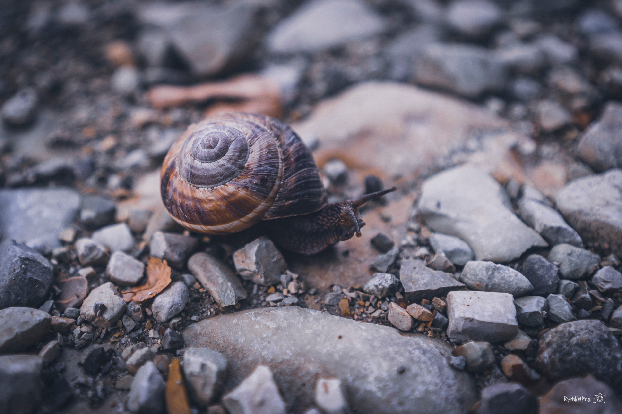 Поход на водопады Куаго с командой Мадьяр 23.07.24. Репортажный фотограф в Краснодаре Рындин Дмитрий