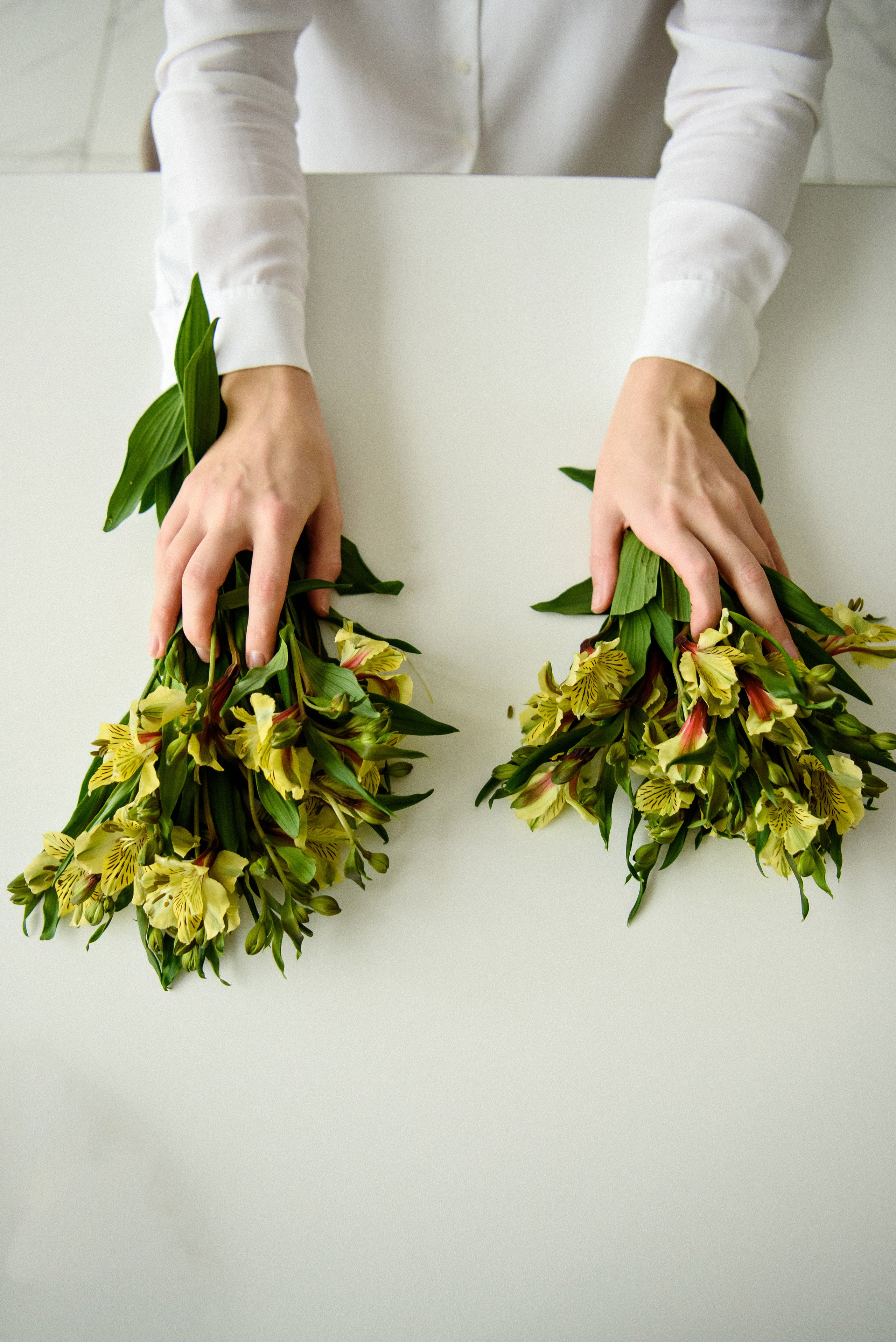 Нутрициолог. Свадебный фотограф в Санкт-Петербурге София Шубик