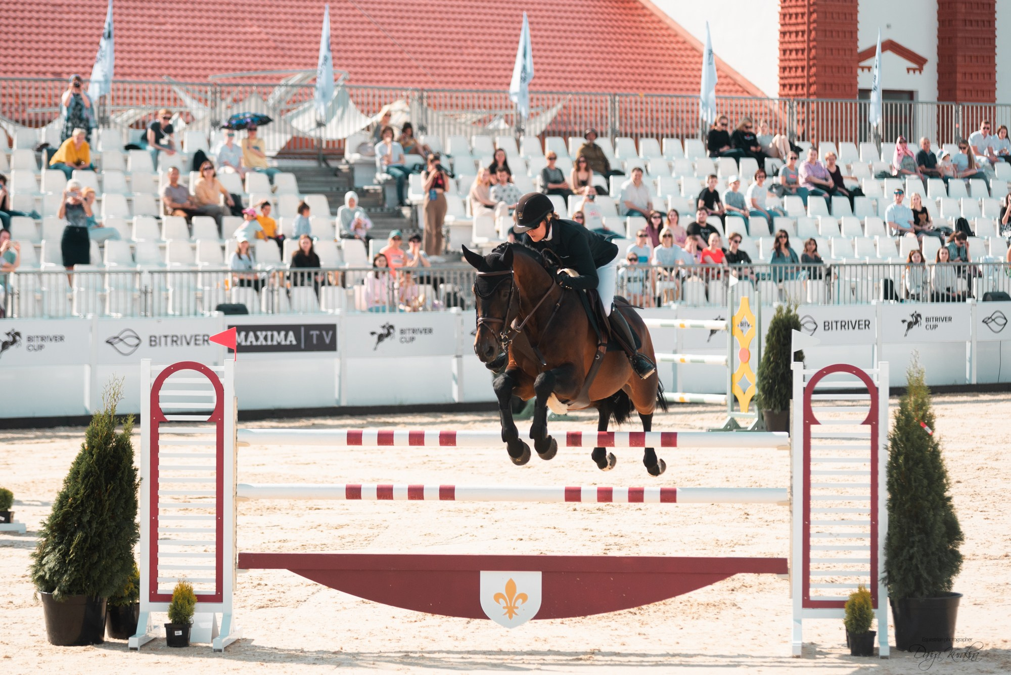 BITRIVER CUP 2023. Конный фотограф Куракина Дарья • Фотосессии с лошадьми