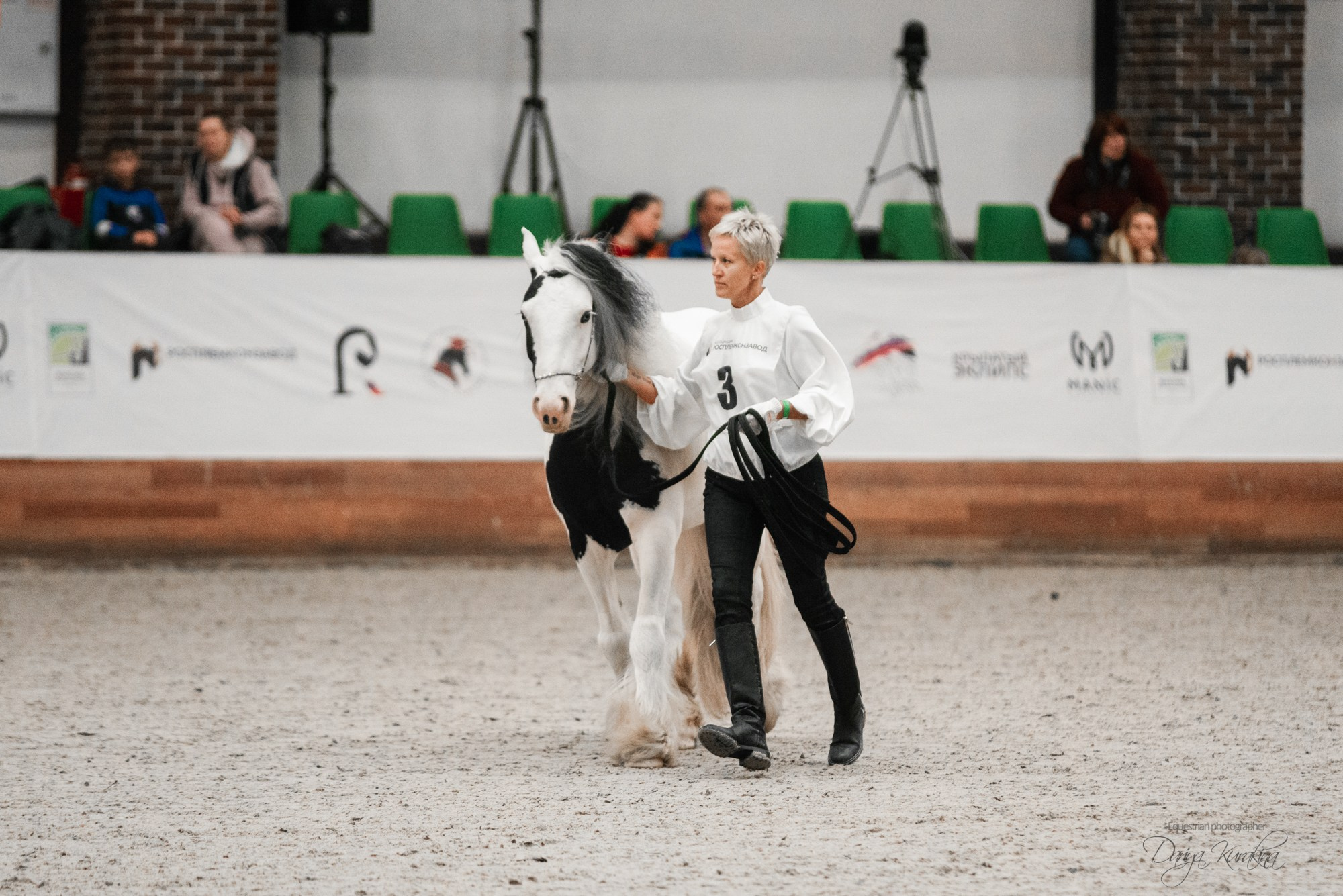 8-я международная выставка Конная Россия. Конный фотограф Куракина Дарья • Фотосессии с лошадьми