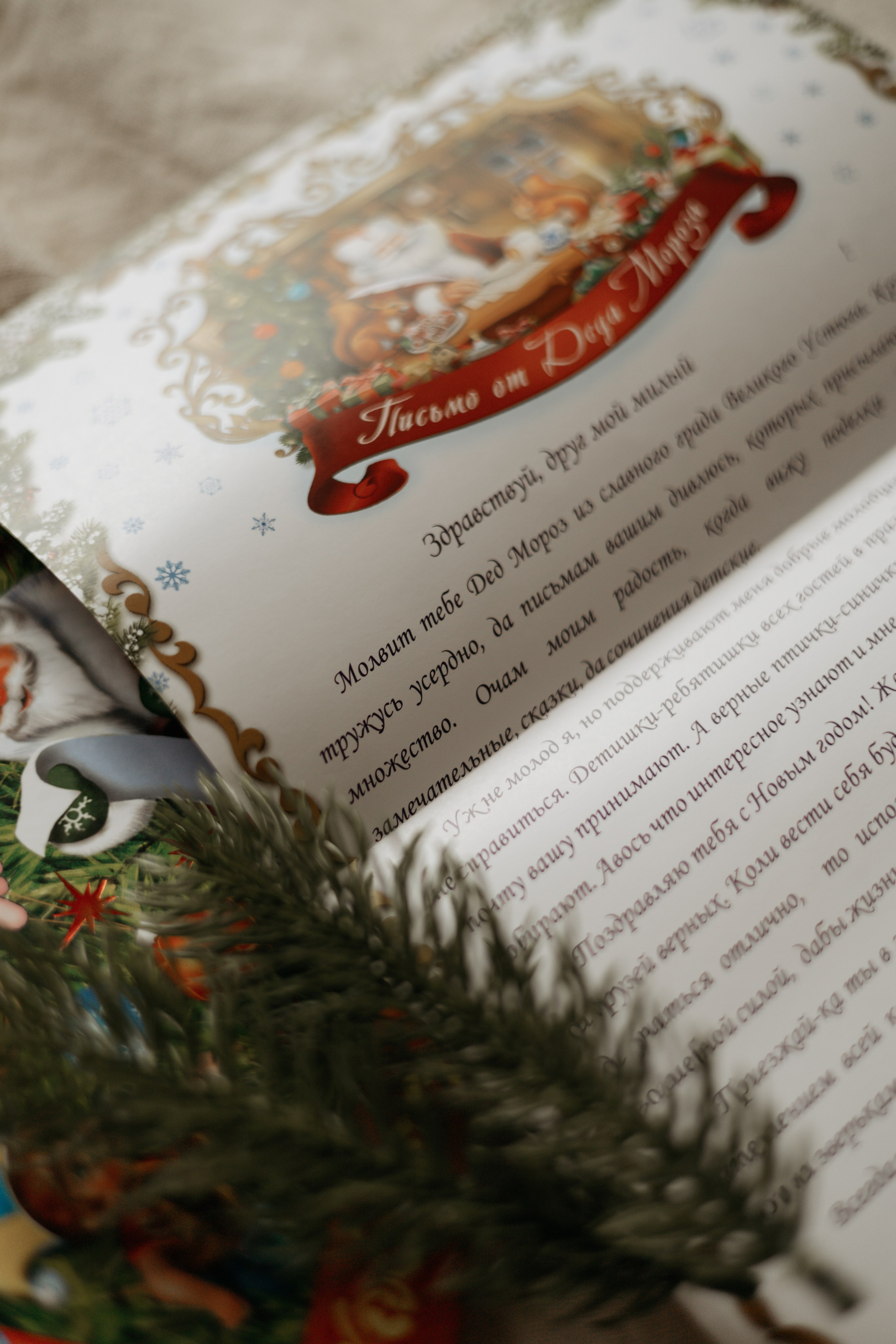 Тёмочка. Самый теплый фотограф в Краснодаре Рябоконь Ксения