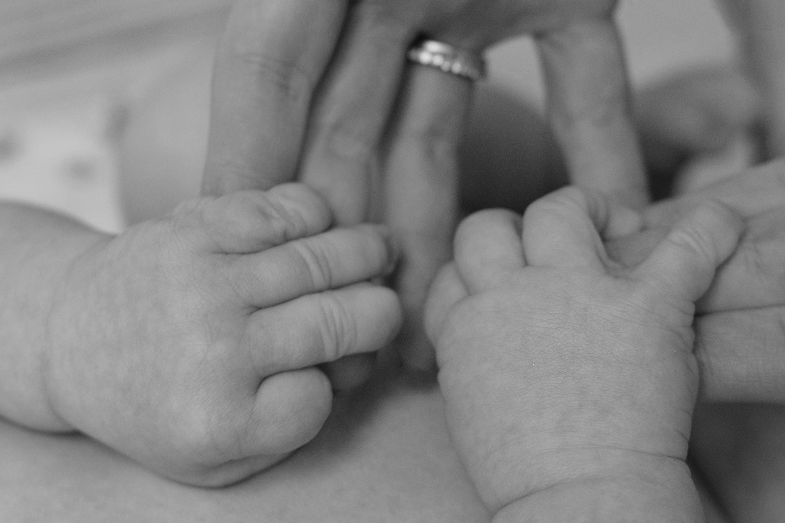 ФОТОГРАФ КСЕНИЯ СОСНОВСКАЯ