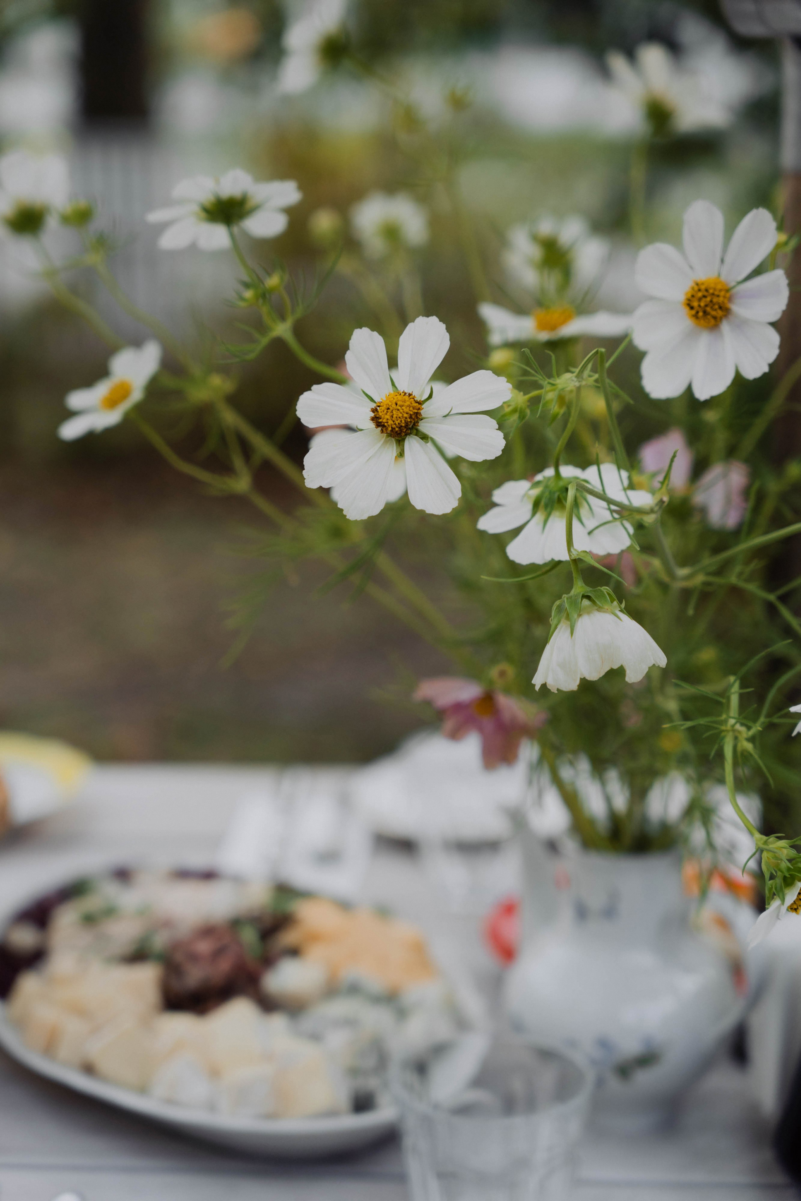 Встреча в «Робине» Переделкино. ФОТОГРАФ КСЕНИЯ СОСНОВСКАЯ