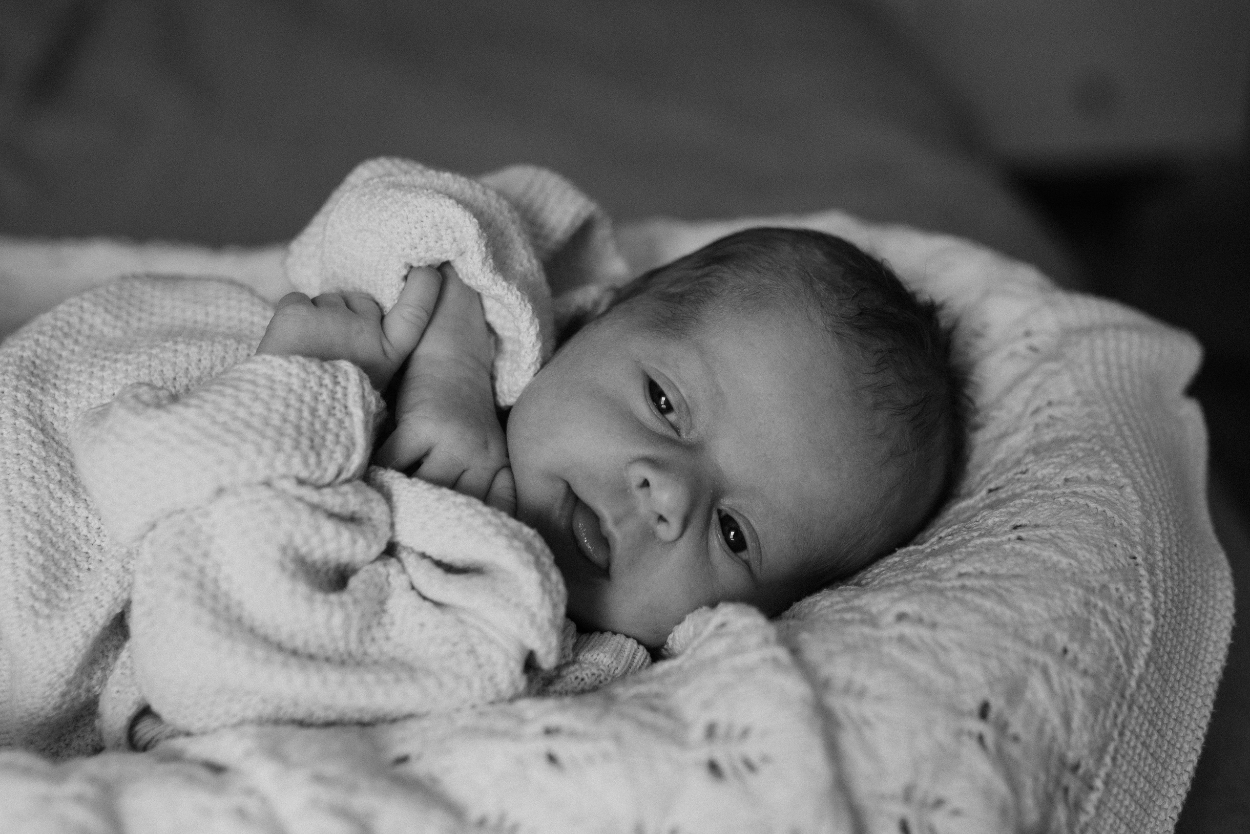 Лена, Игорь, Арина, Агата. Семейный фотограф Москва