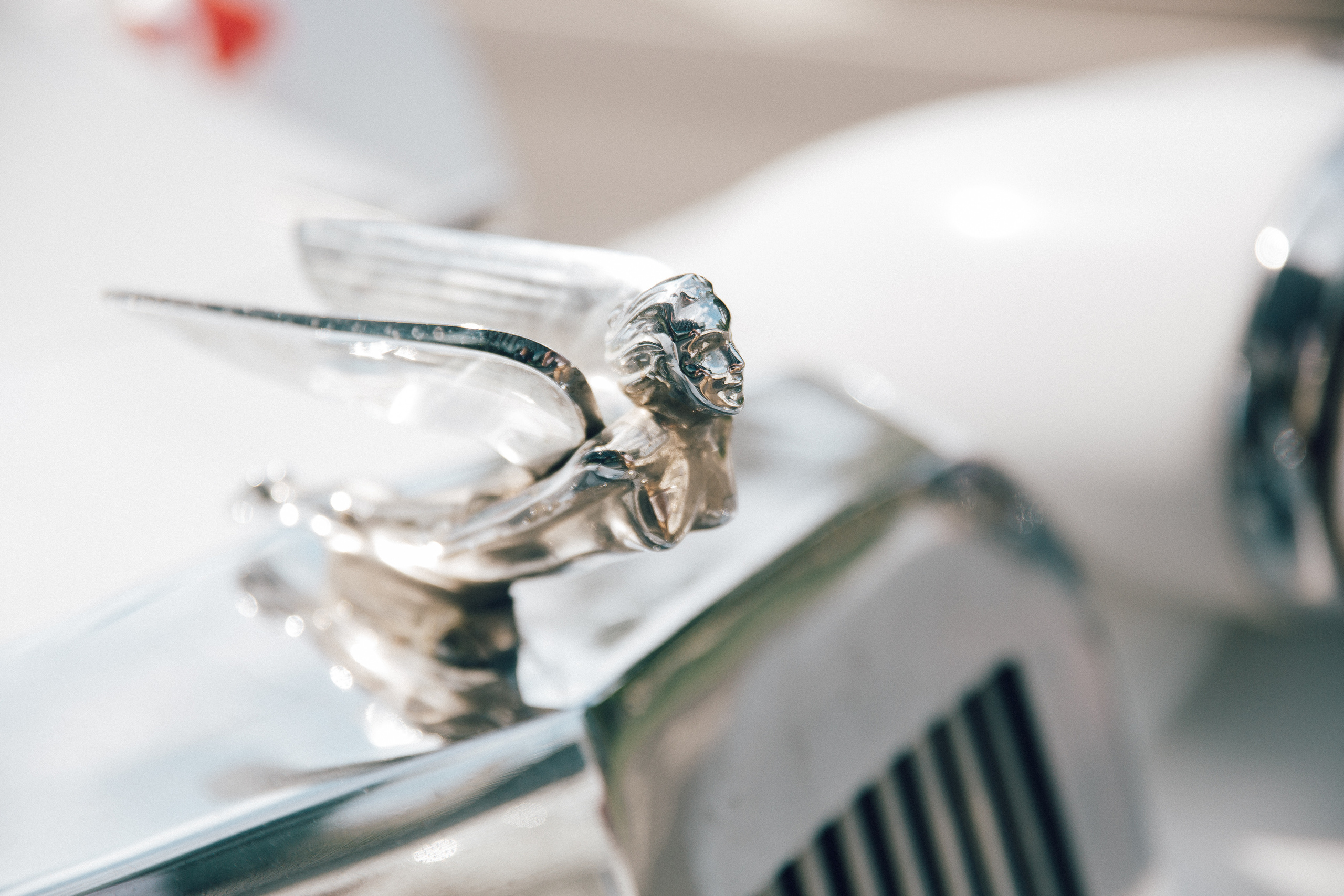 Лина и Михаил. Фотограф в Санкт-Петербурге Иван Скульский