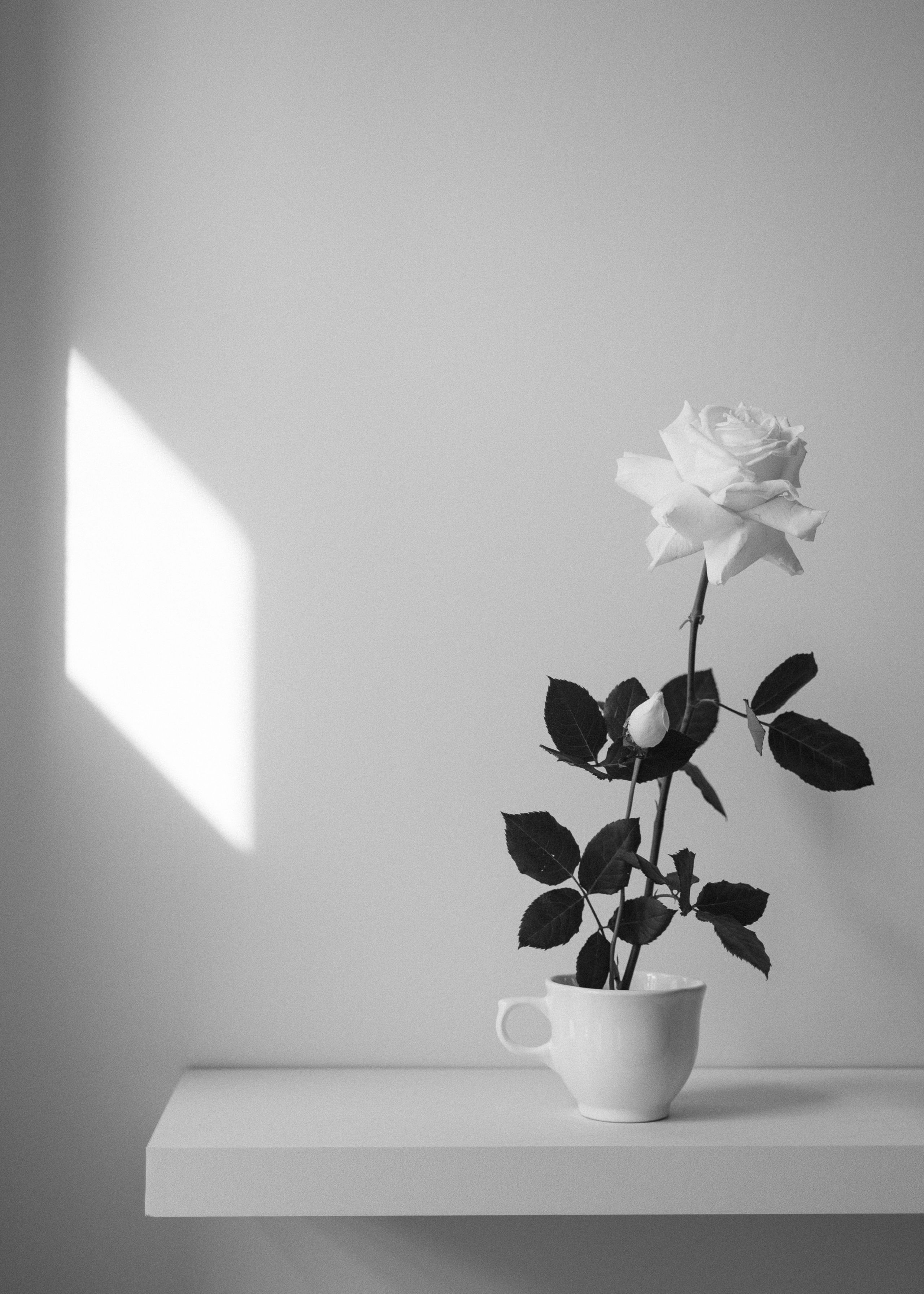 ONCE UPON A TIME…. Свадебный фотограф Минск