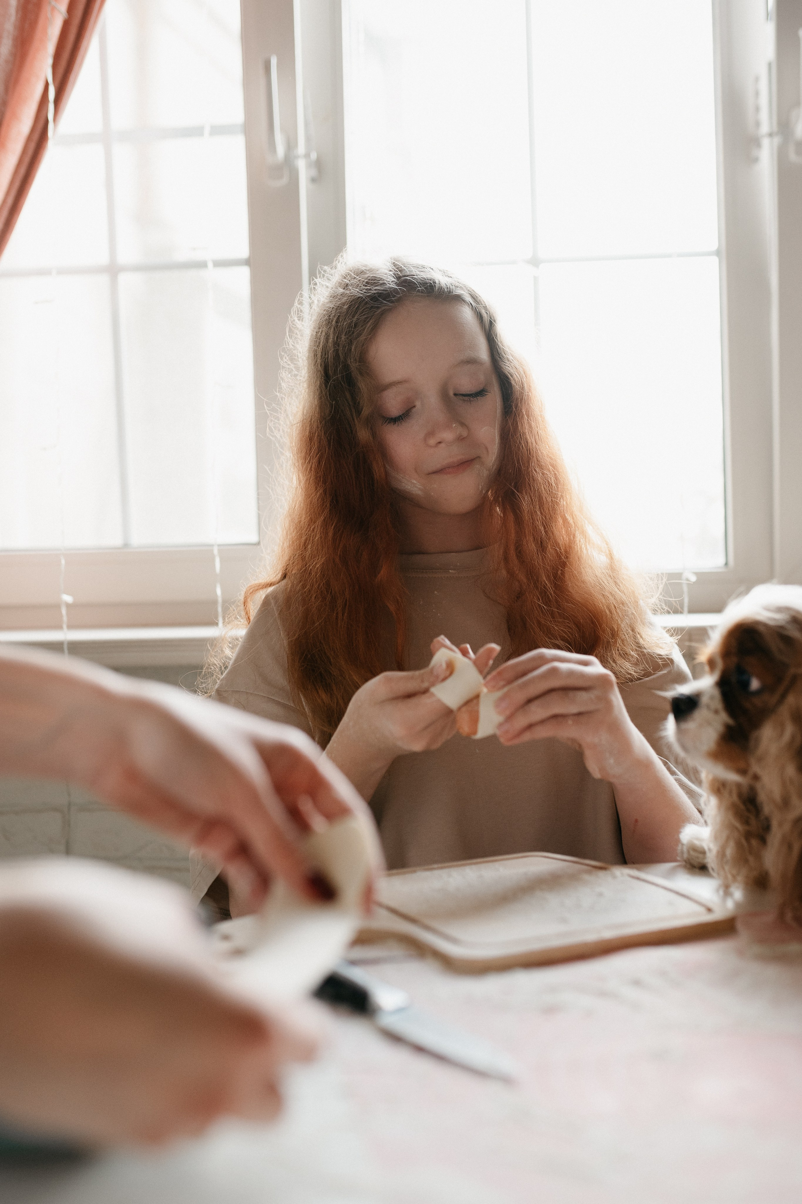 Даша, Диана, Дебби и маленькая крыска. Фотограф анималист в Москве Ольга Агушева