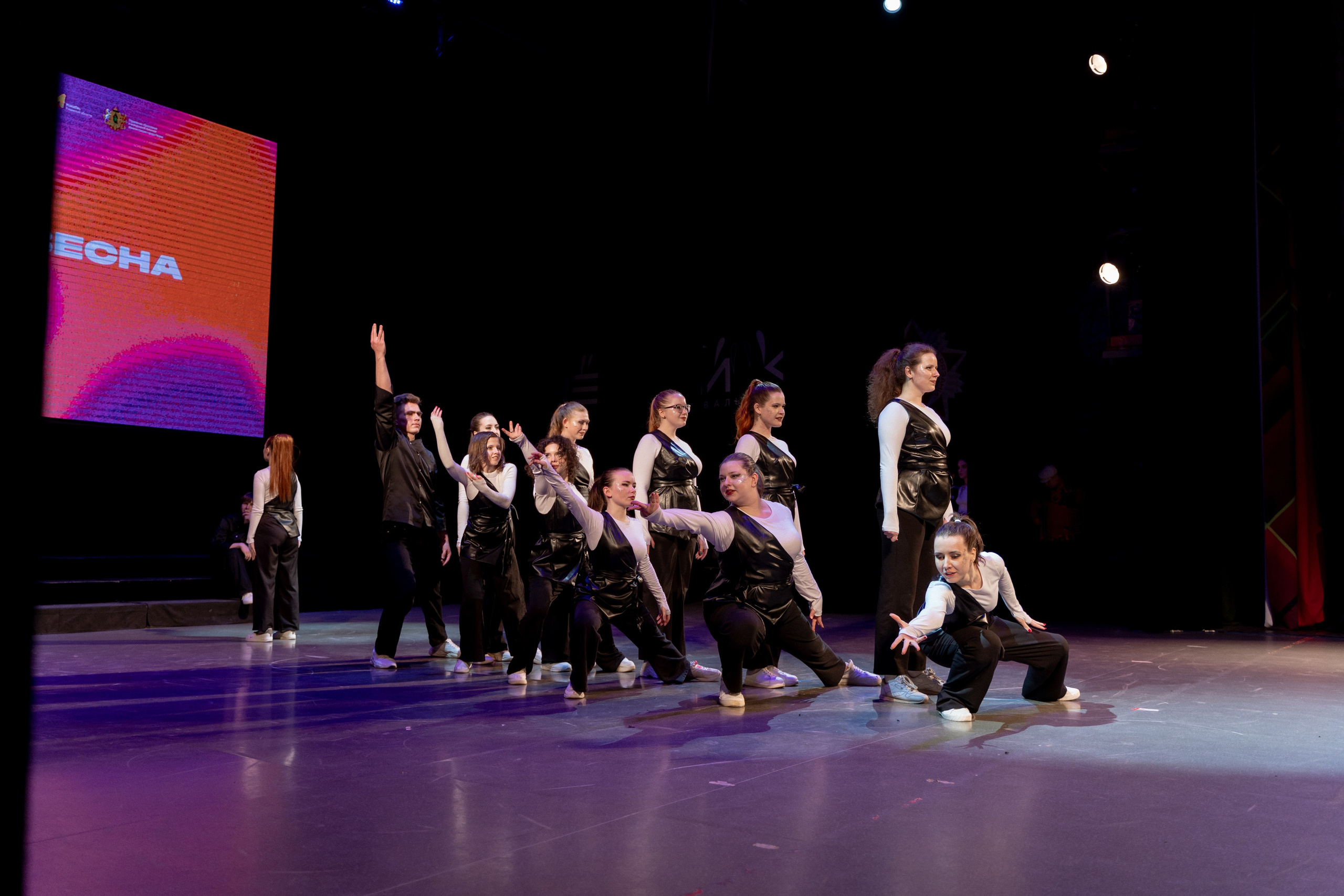 Фестиваль Студенческая весна 2025. Фотограф Надежда Погребняк | Рязань | Москва