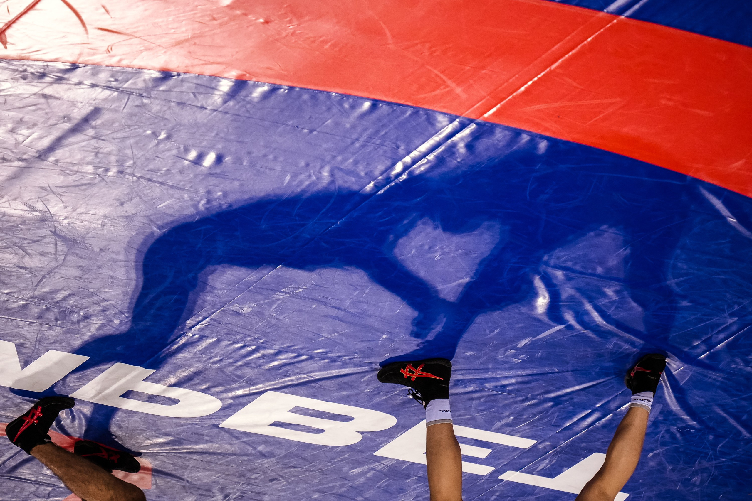 Кубок Ивана Ярыгина 2025 фотографии / ivan yarygin cup 2025 photos. Фотограф Анна Герман. Красноярск