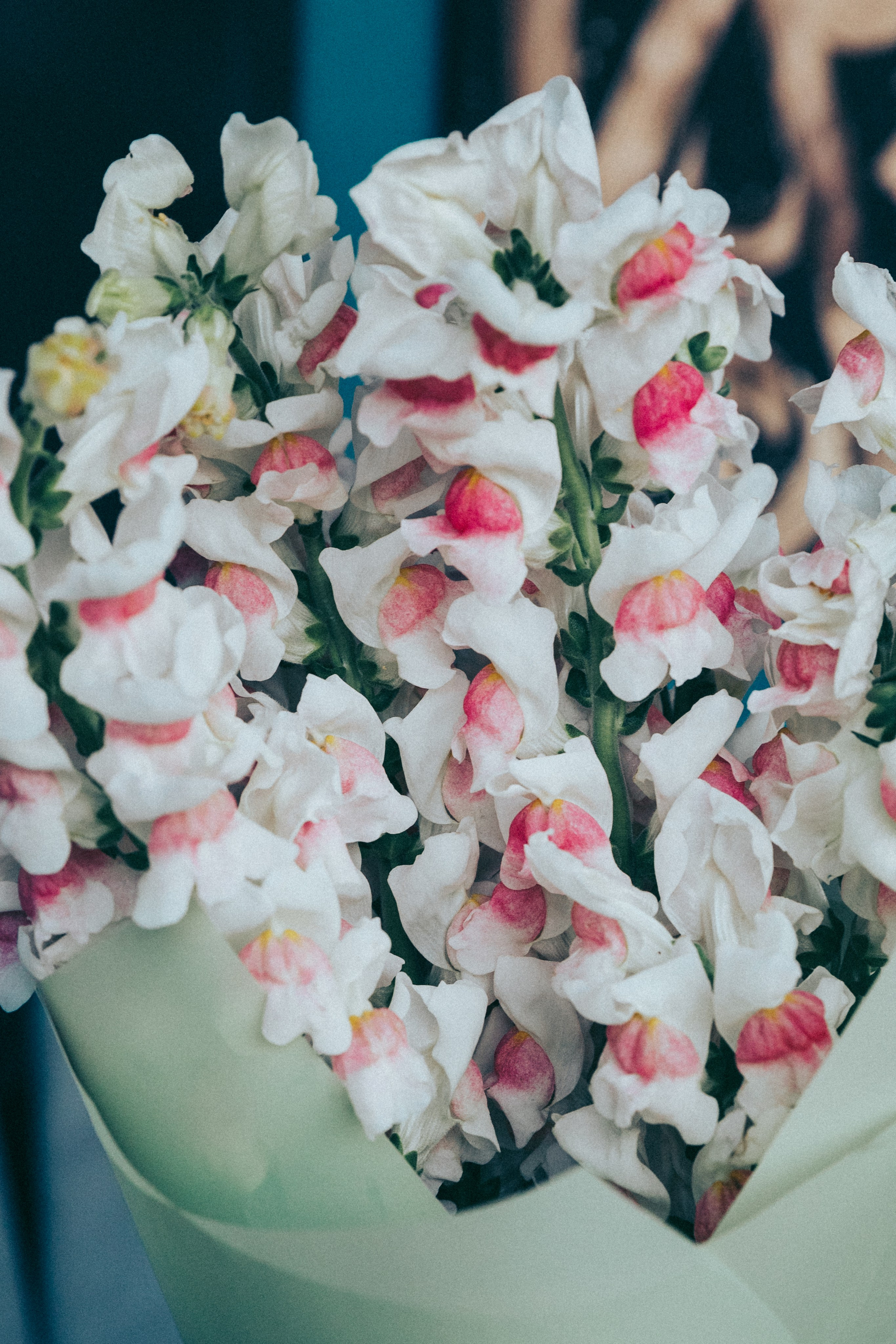 Юля. Фотограф в Москве Шаганова Нина