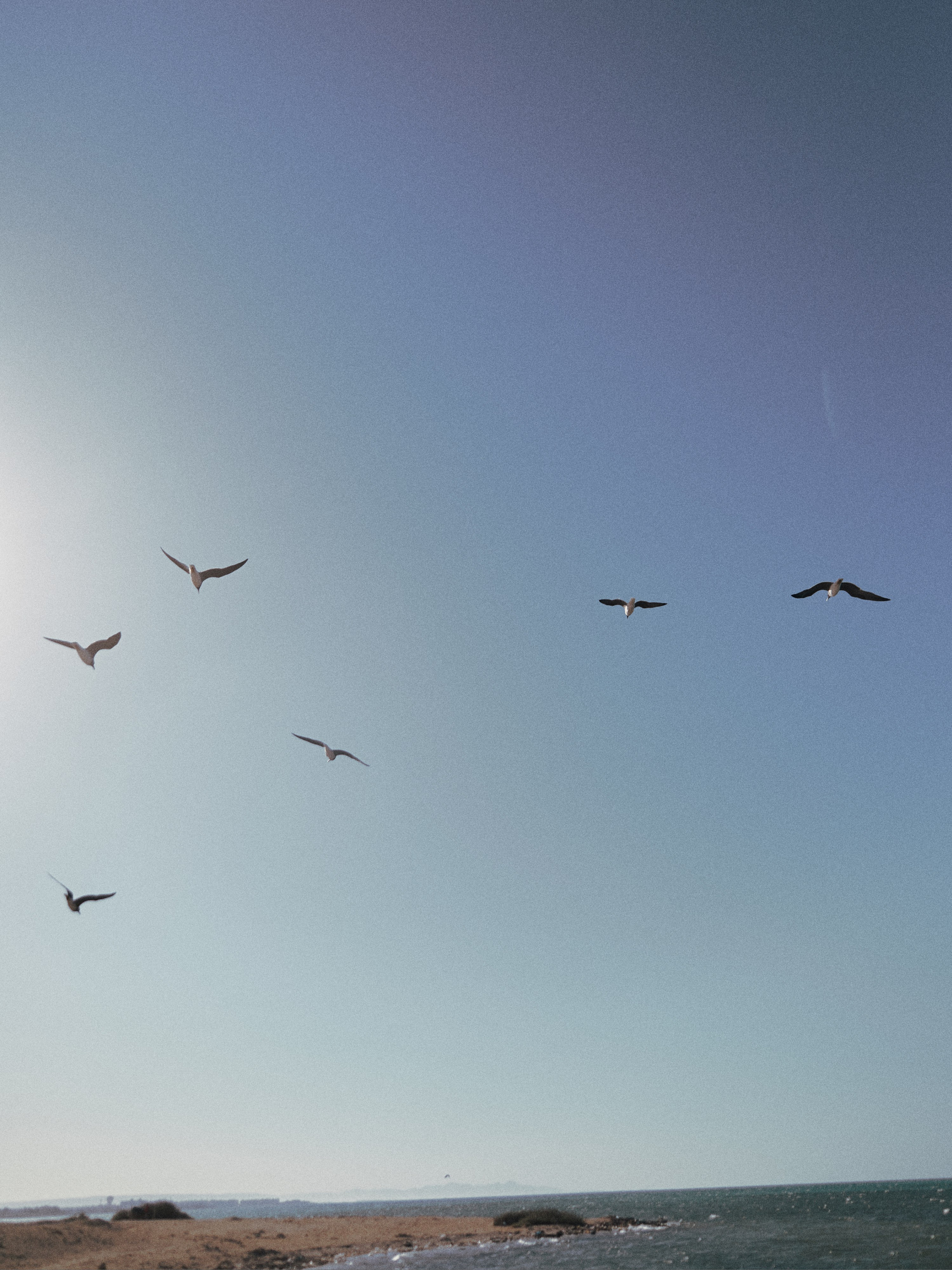 ¼. Jorgis Talè — photographer, kind person, teacher of arts and other mag