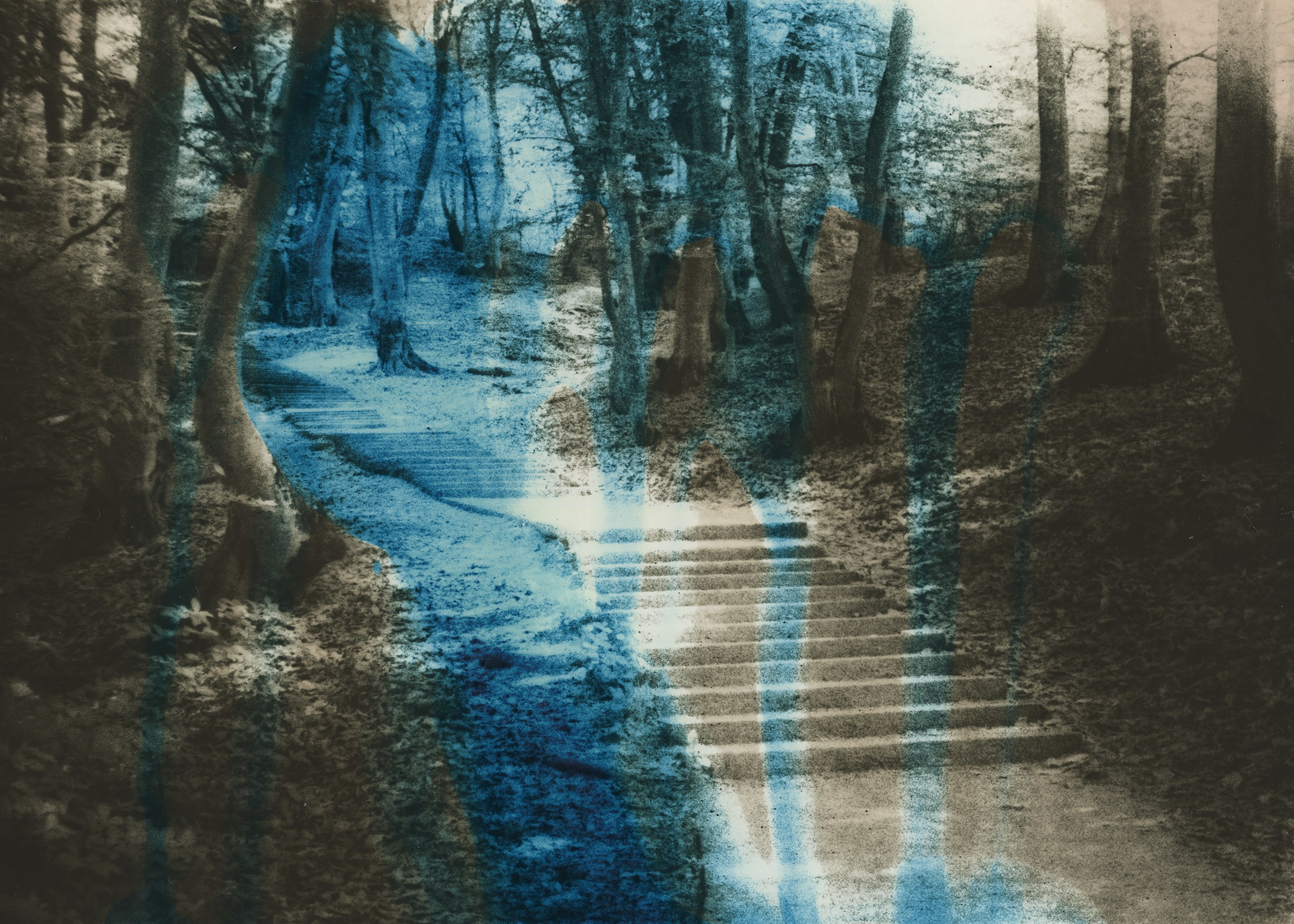 Dmitry Gudimenko | Analog visual artist