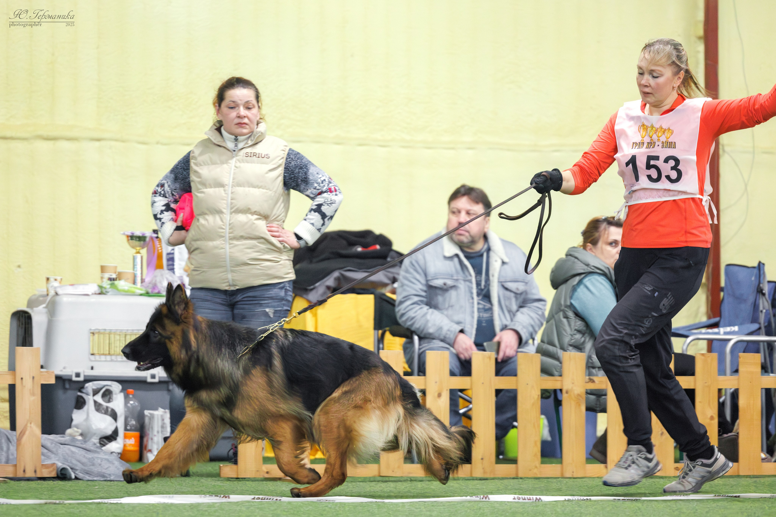 Гран-При 8.02.2025 и Крокус 09.02.2025. Фотограф-анималист Юлия Германика