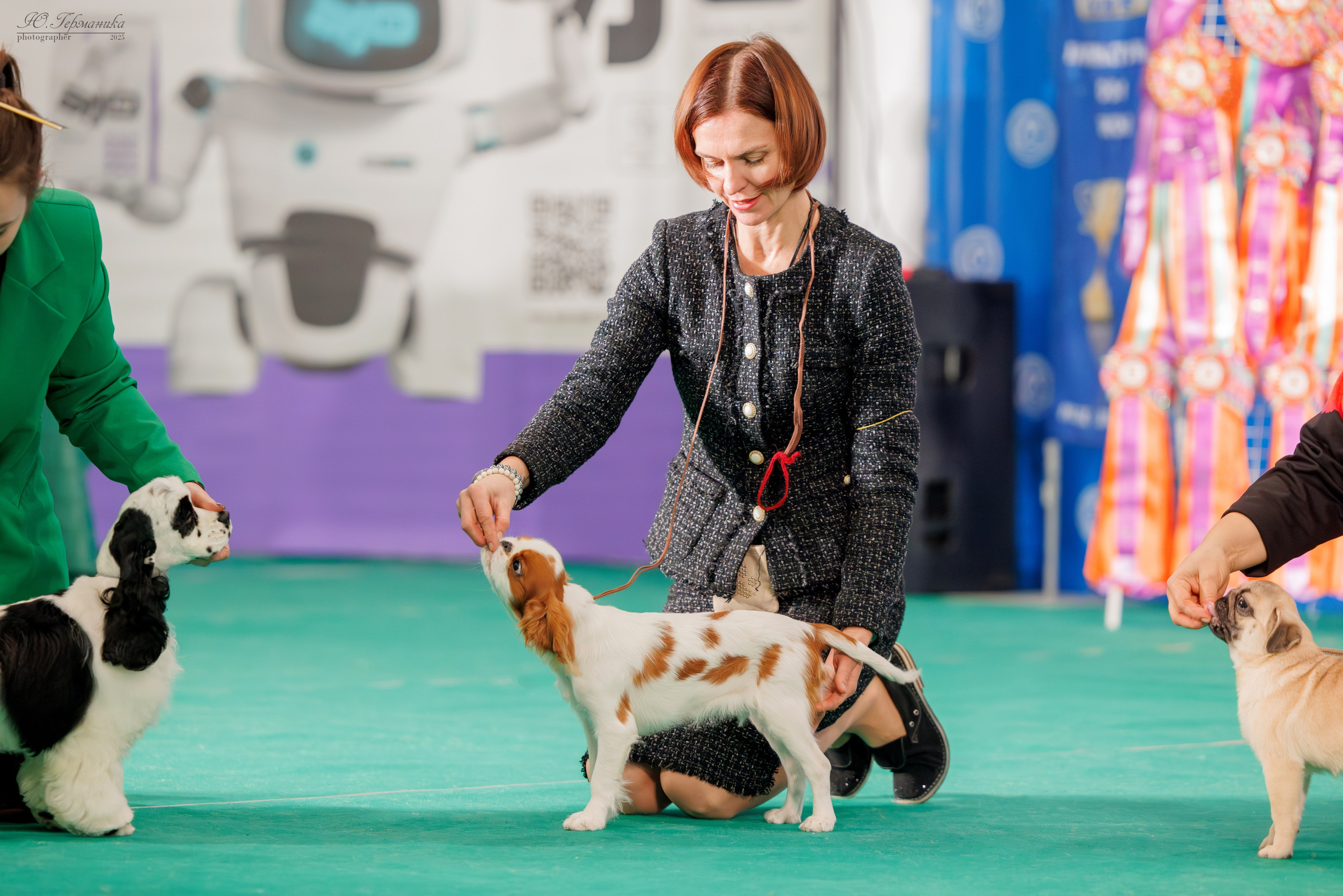 Минск 1-2.03.2025. Фотограф-анималист Юлия Германика