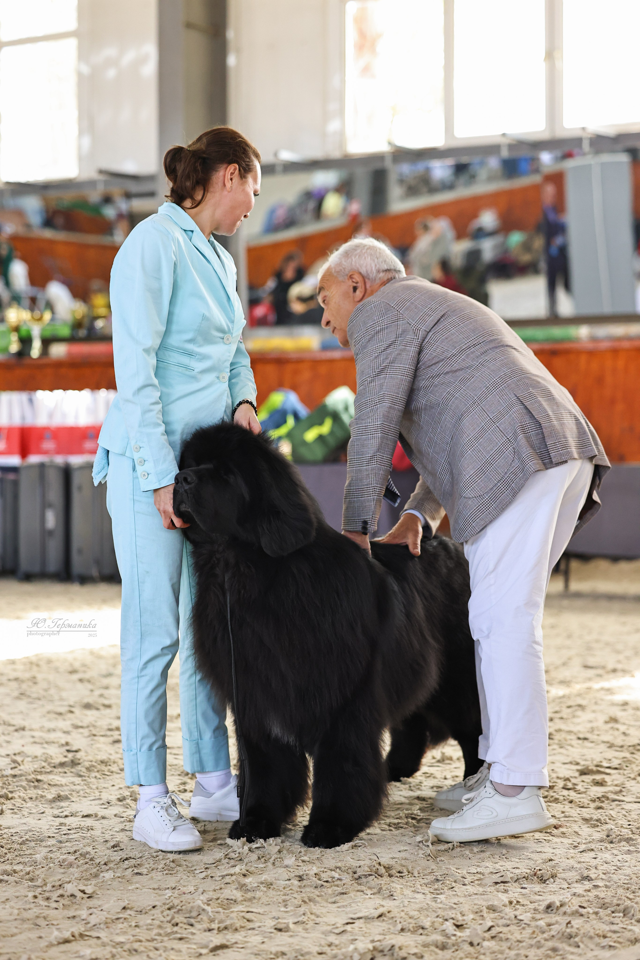 Астана 2хCACIB 26-28.09.2025. Фотограф-анималист Юлия Германика