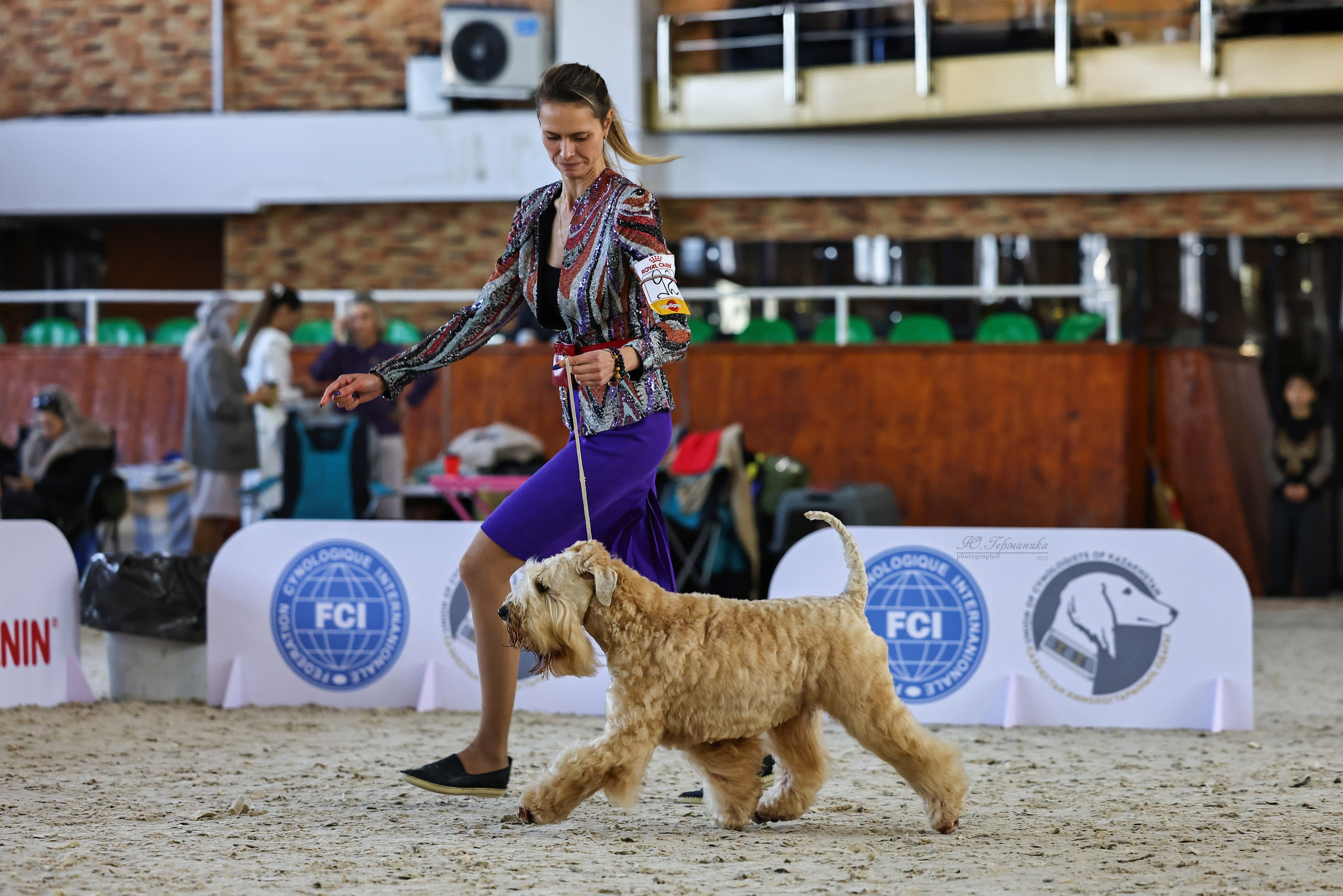 Астана 2хCACIB 26-28.09.2025. Фотограф-анималист Юлия Германика