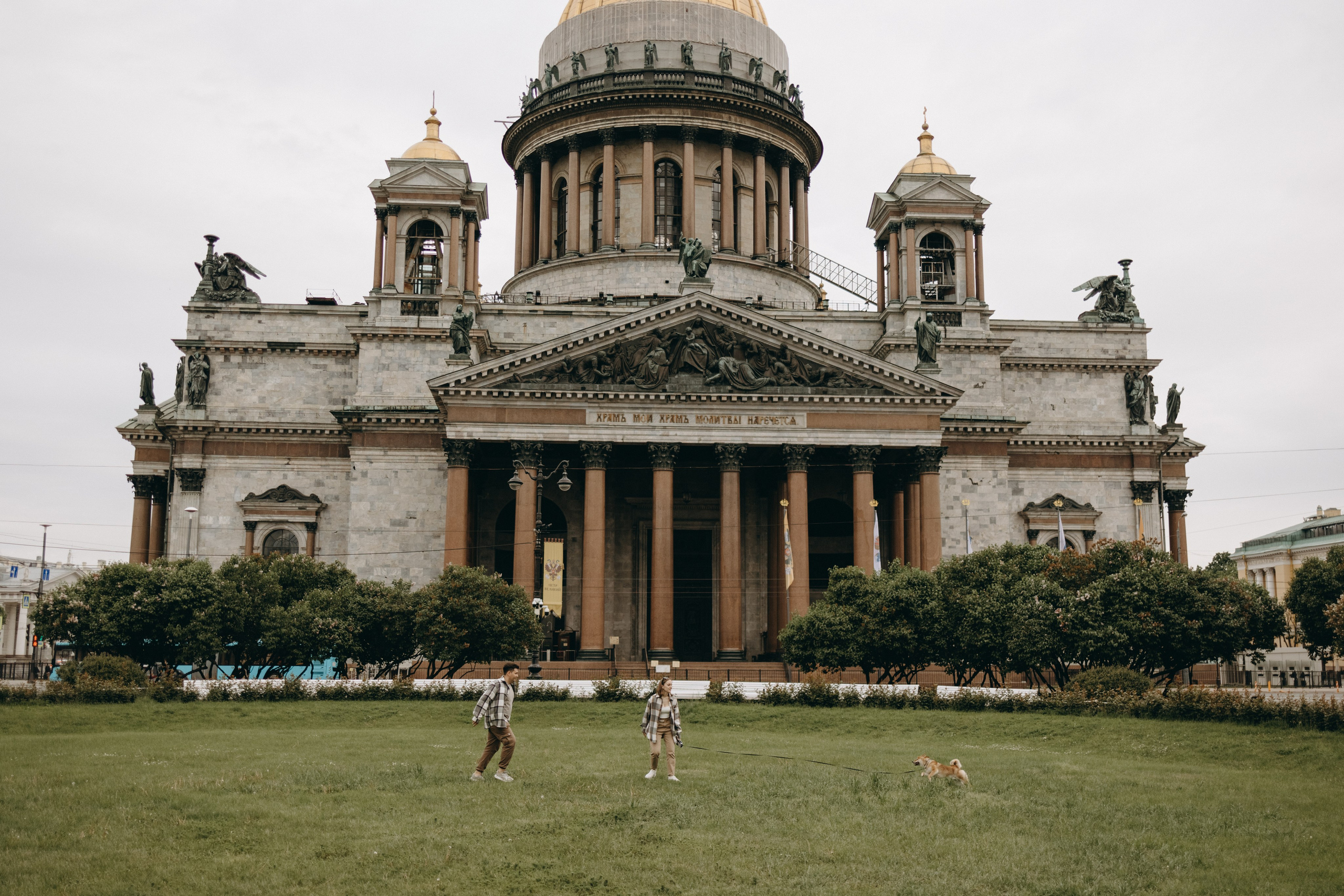 Сириус и его семья. Фотограф — Анималист | Санкт-Петербург
