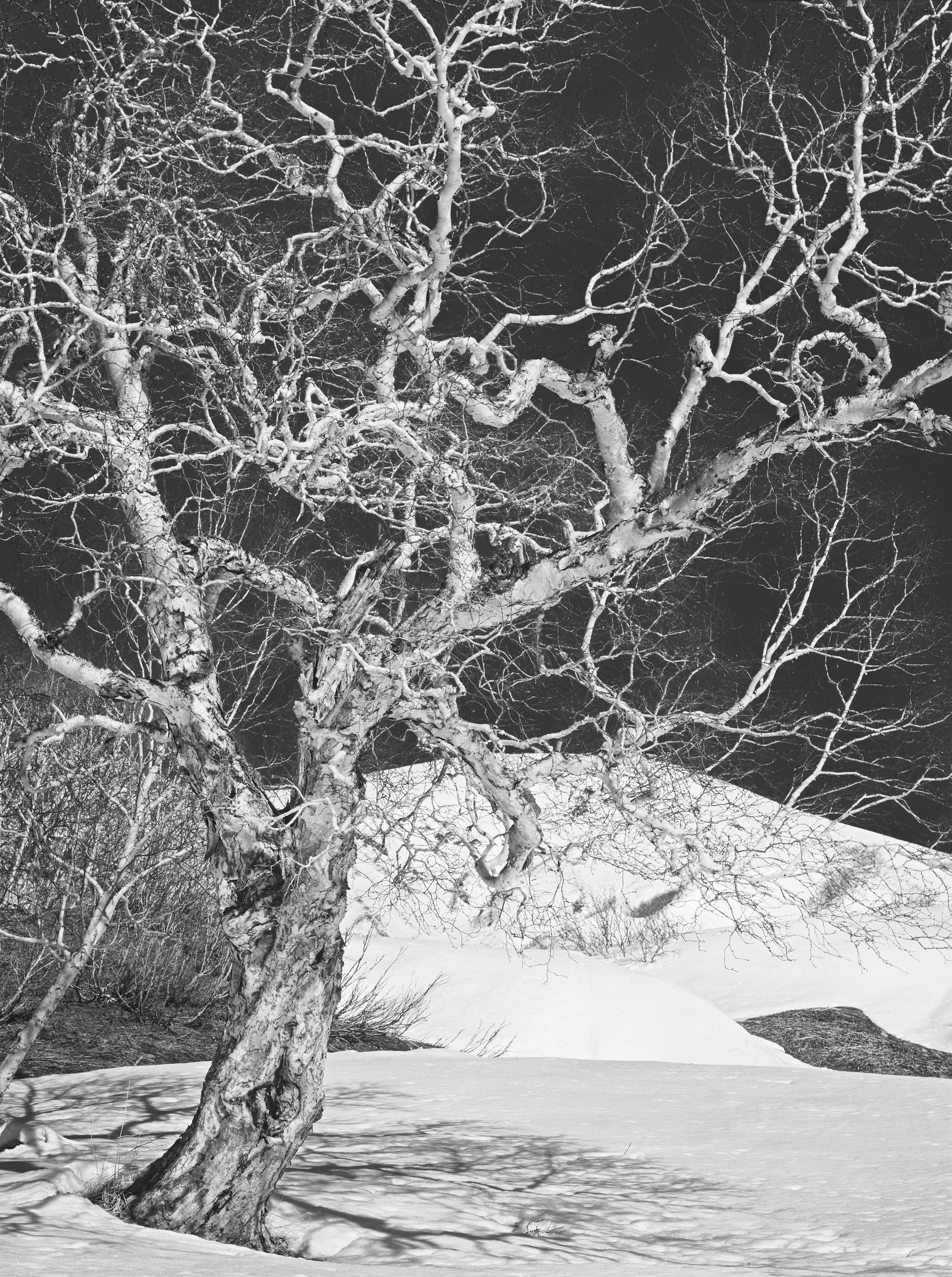 Черно-белая фотография. ВАДИМ ГИППЕНРЕЙТЕР — ВЕЛИКИЙ ФОТОГРАФ ЗЕМЛИ РУССКОЙ