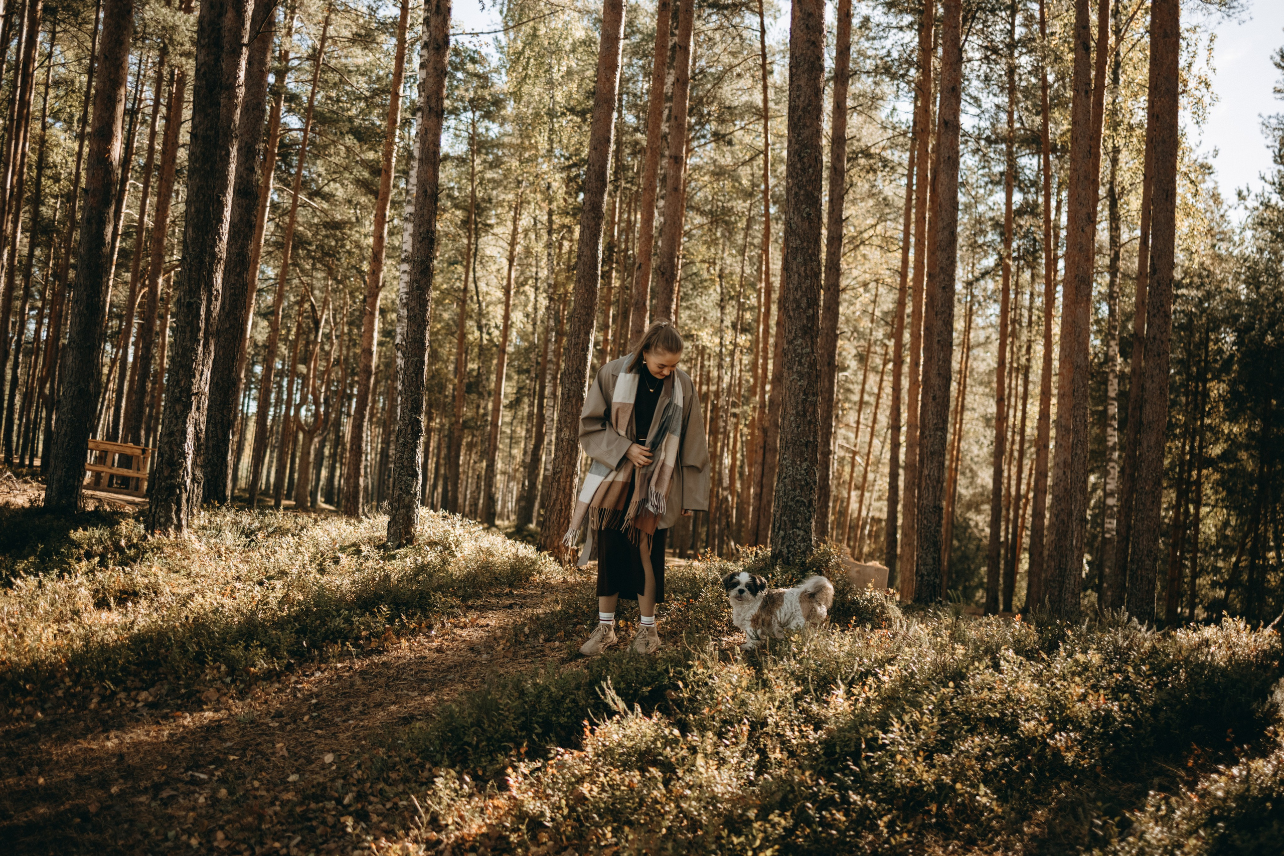 Настя и Франт. Фотограф — Анималист | Санкт-Петербург