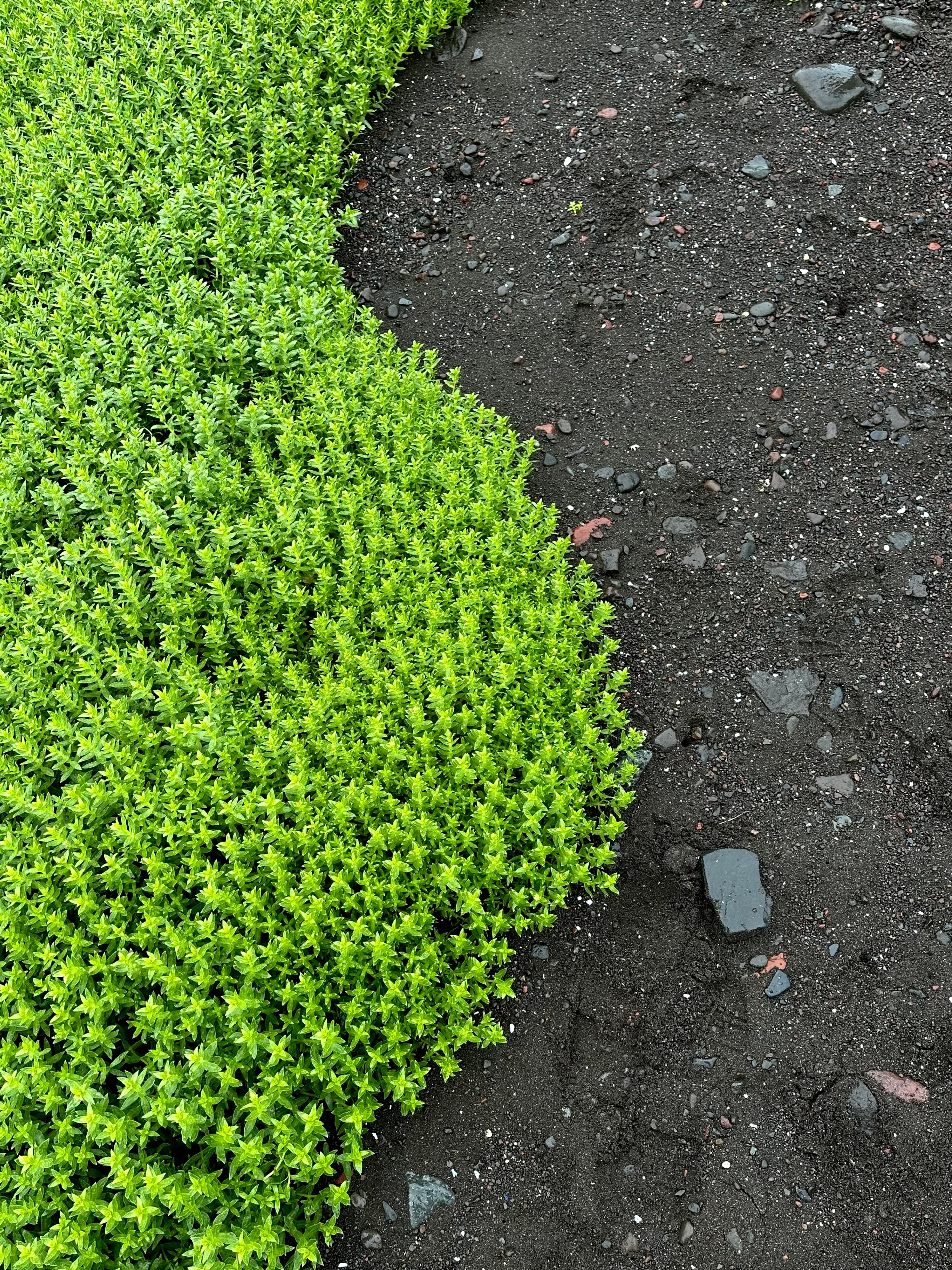 EXHIBITION. Репортажный и интерьерный фотограф, фотохудожник