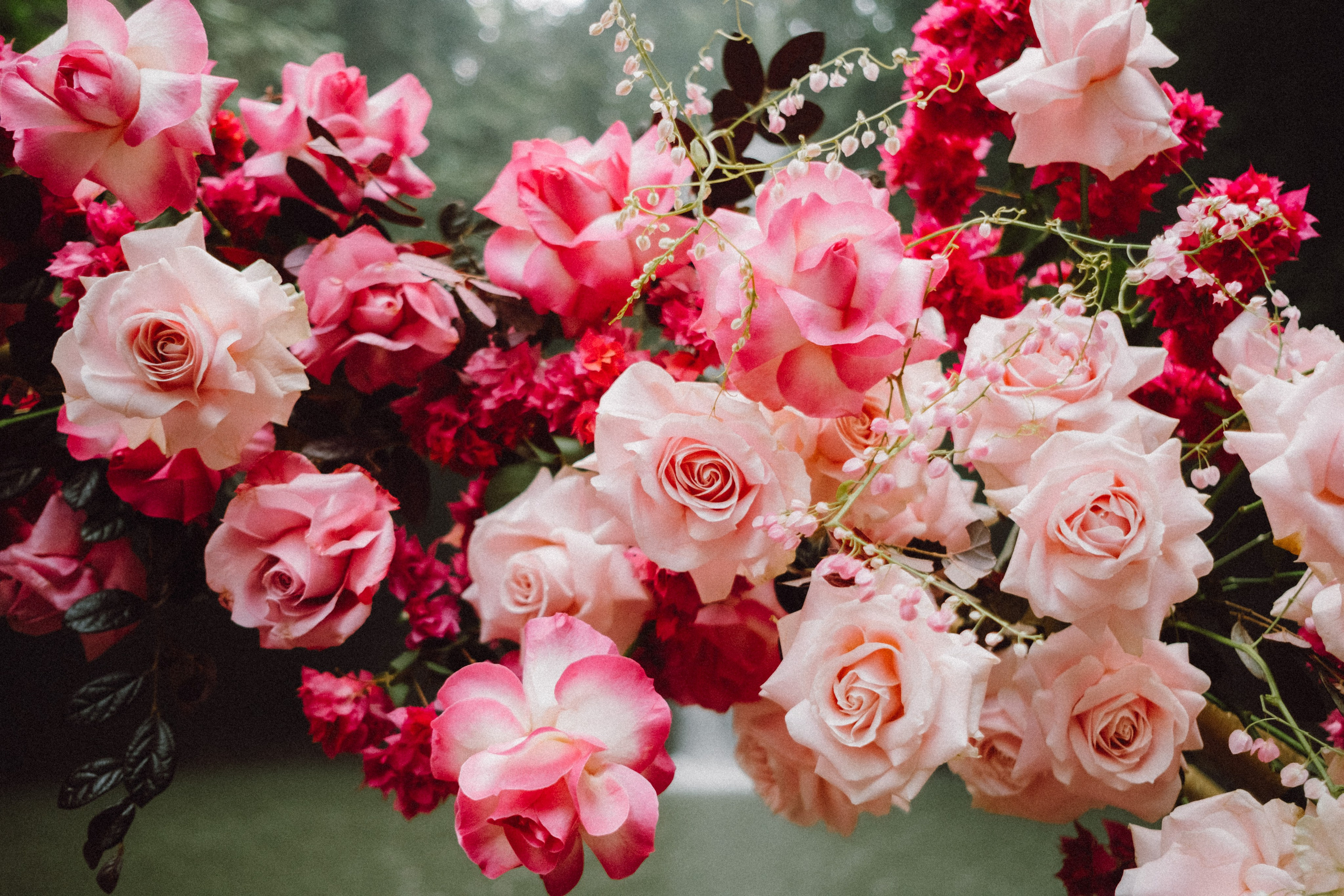 Briana and Tom. Фотограф Бали