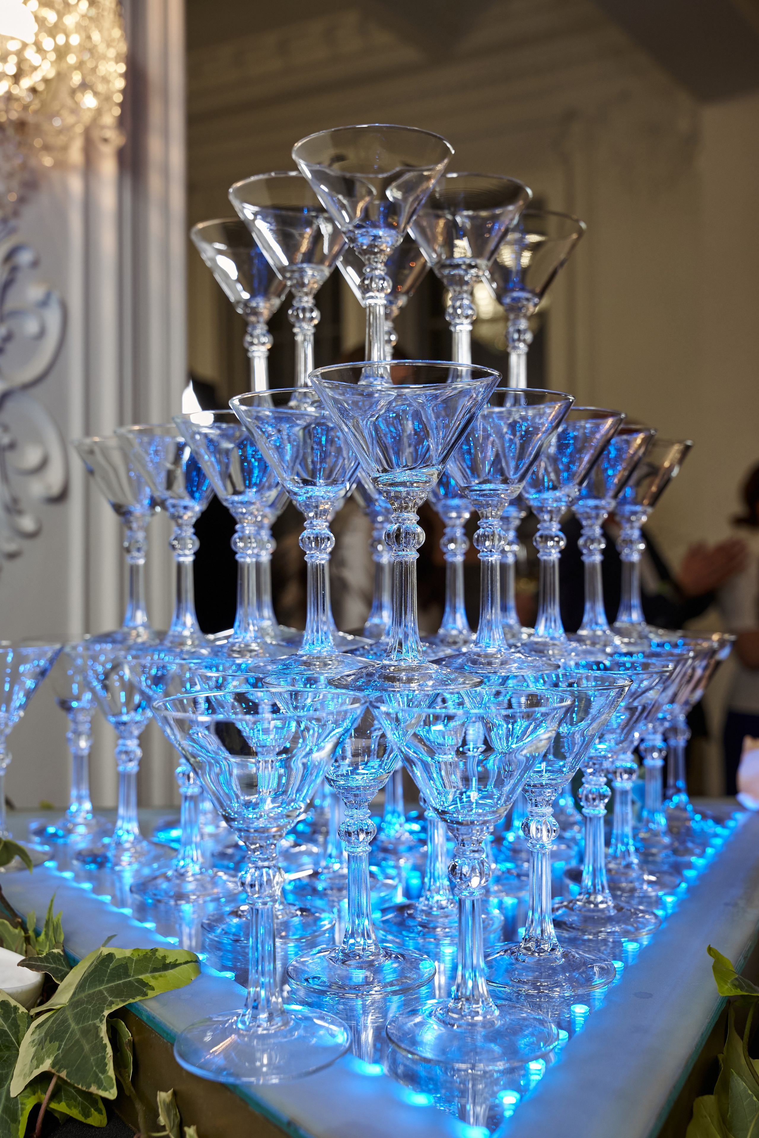 ГАЛА УЖИН. PRO-AGELESS