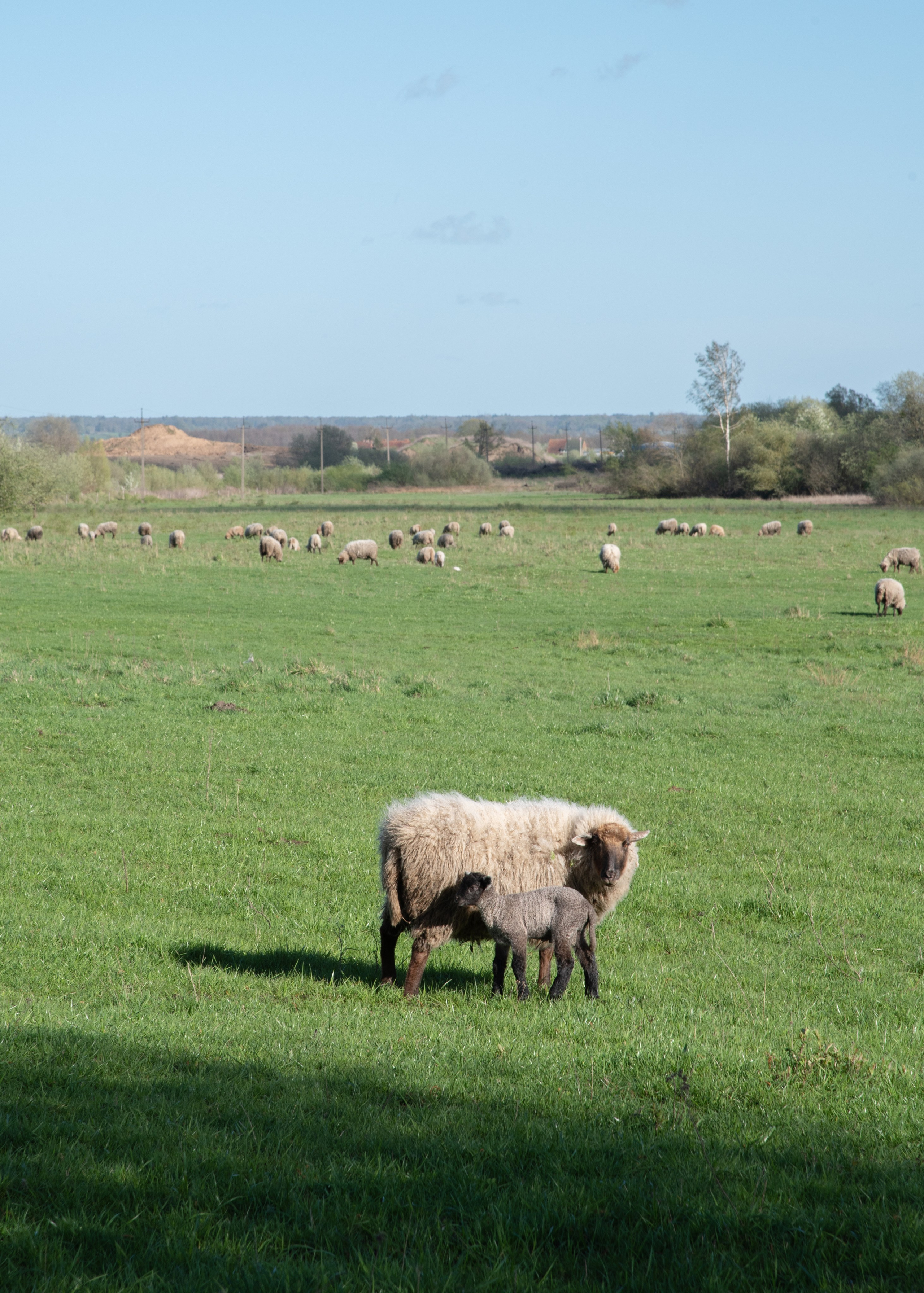 Калининград, Светлогорск. Фотограф Юлия Зимина