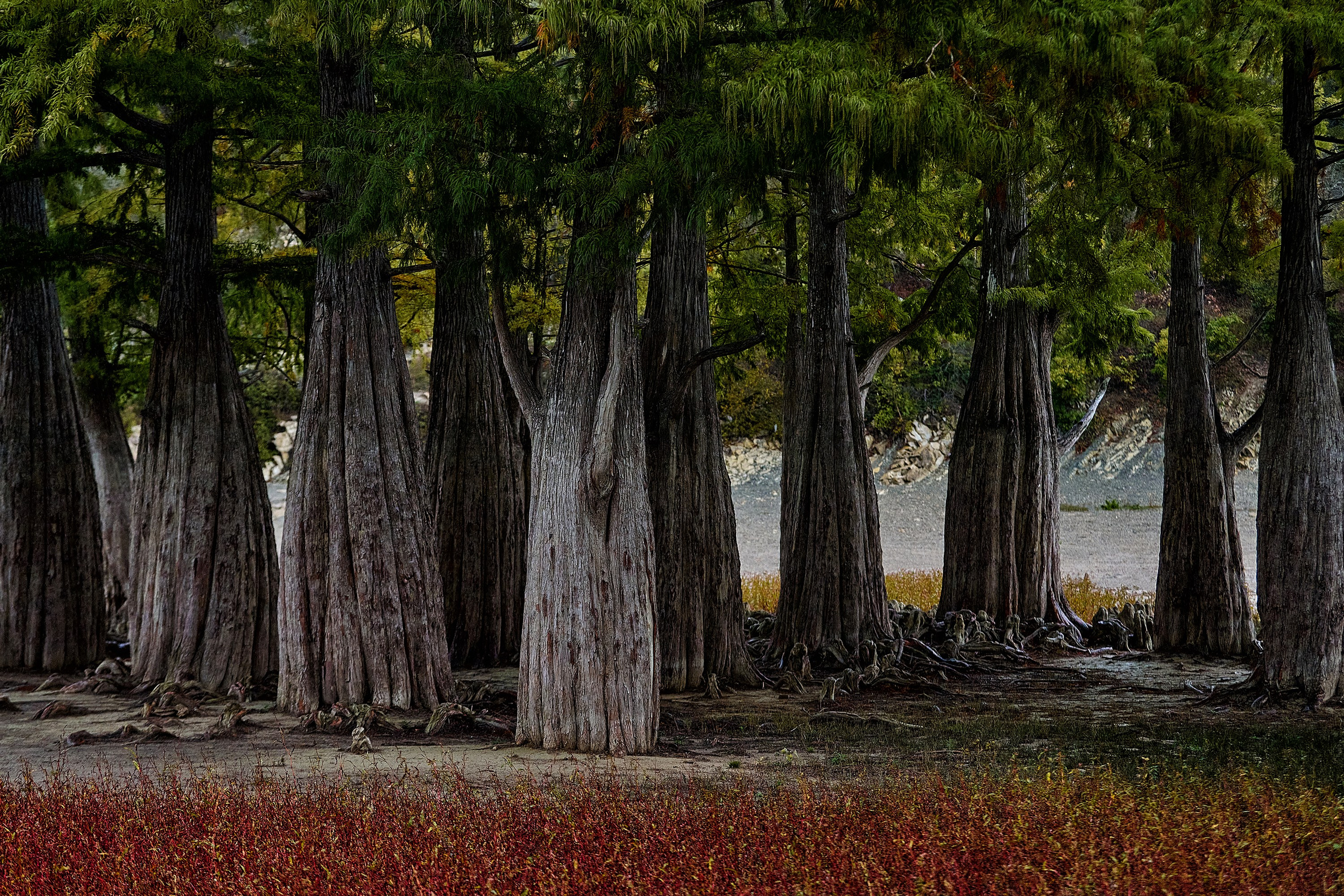 Текстуры и другие фоны. Textures and other. Яркие фото на Чёрном море