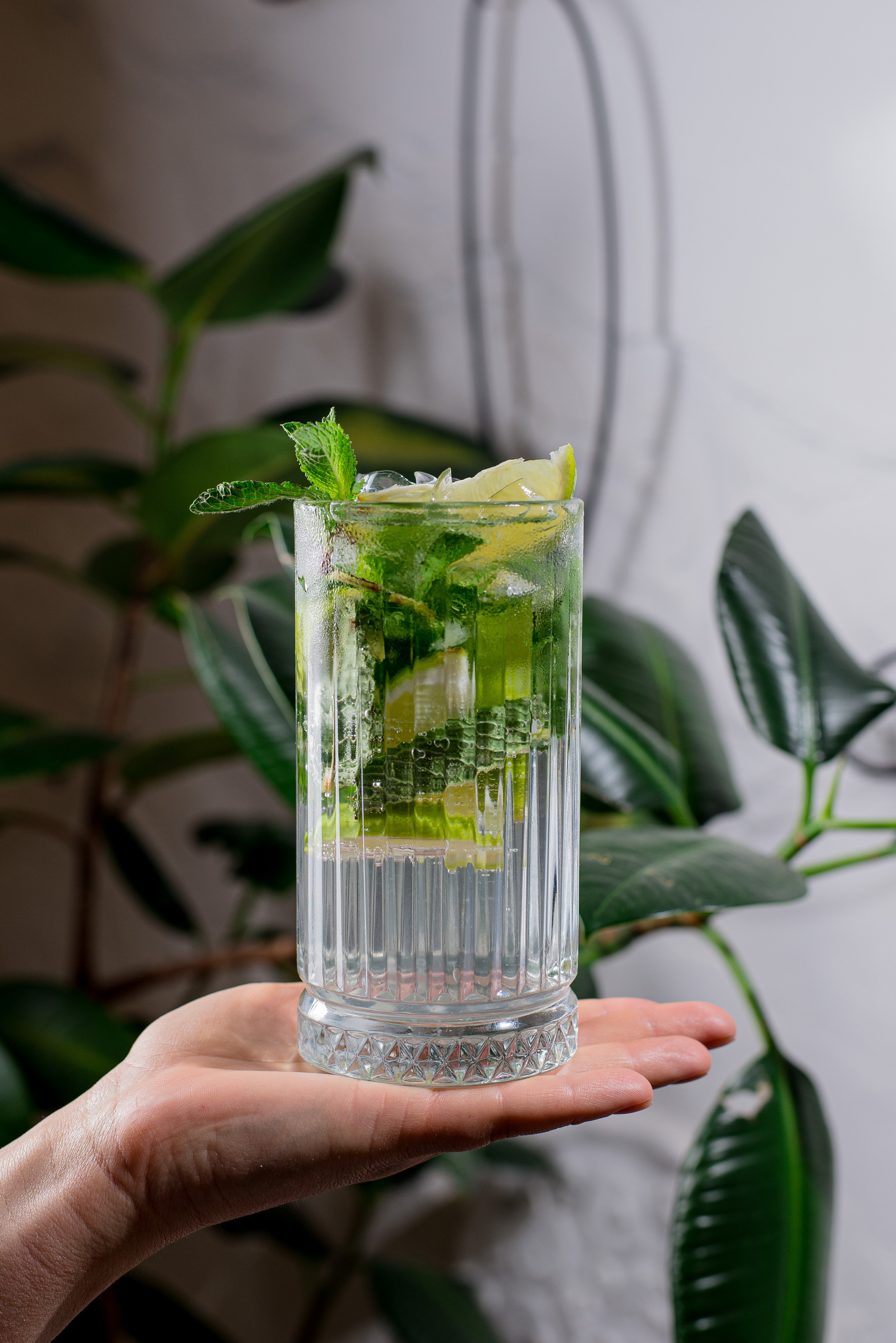 Santa Mozzarella. Кирилл Бутлович фуд фотограф, Киров