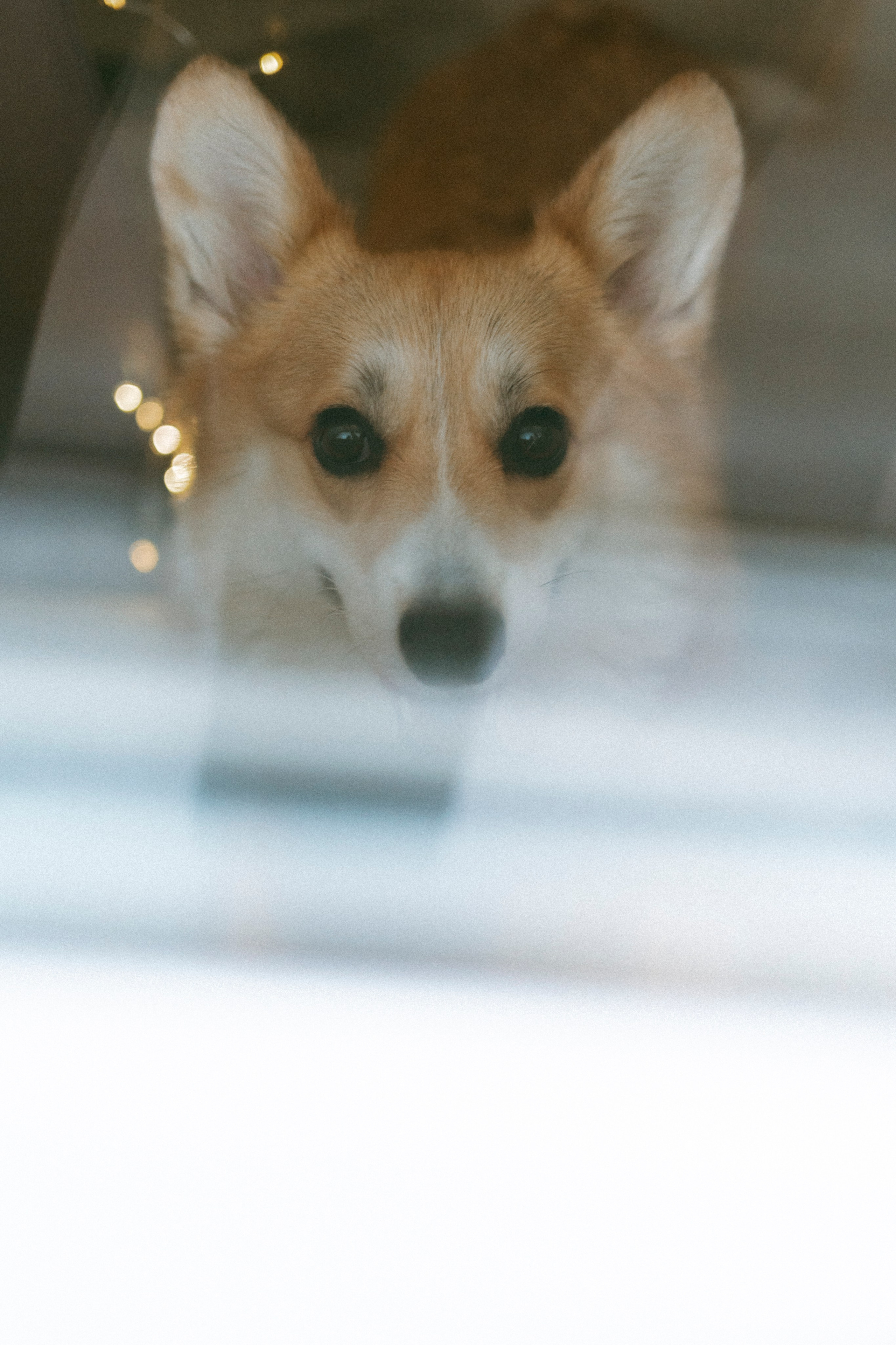 Рецепт семейного счастья). Свадебный и семейный фотограф в Йошкар-Оле, Питере и Казани Александра Богинич