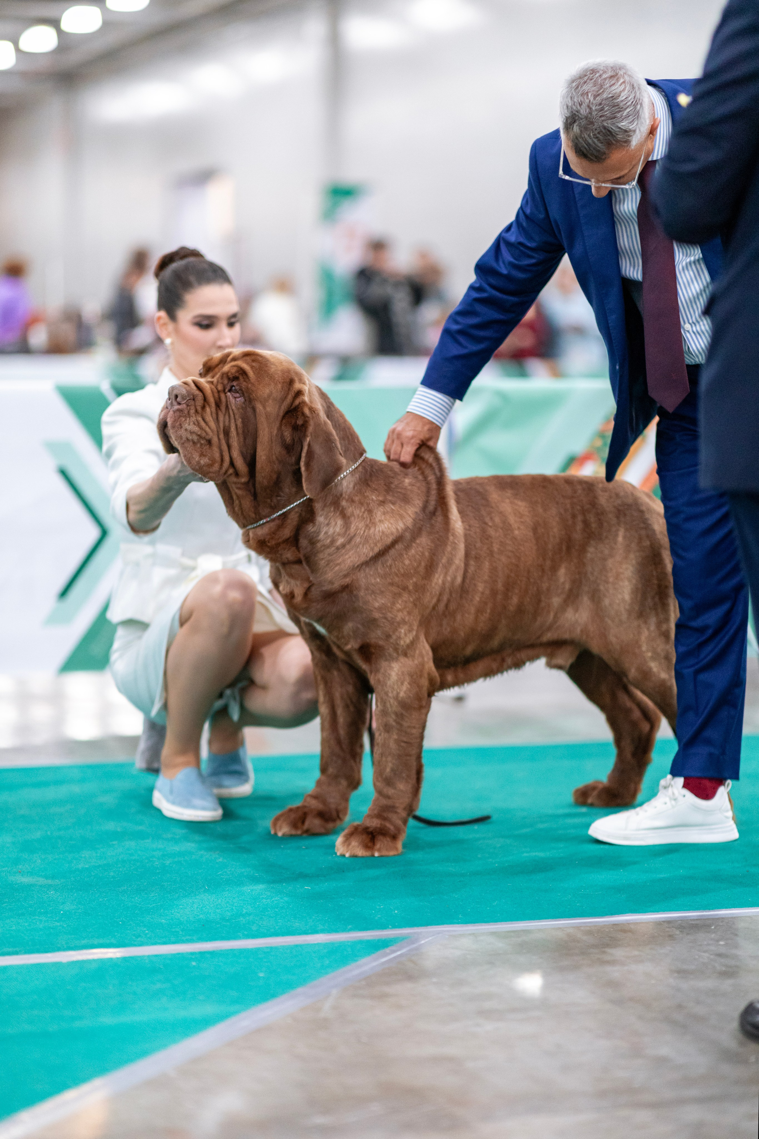 Евразия. Фотограф — анималист Татьяна Ли