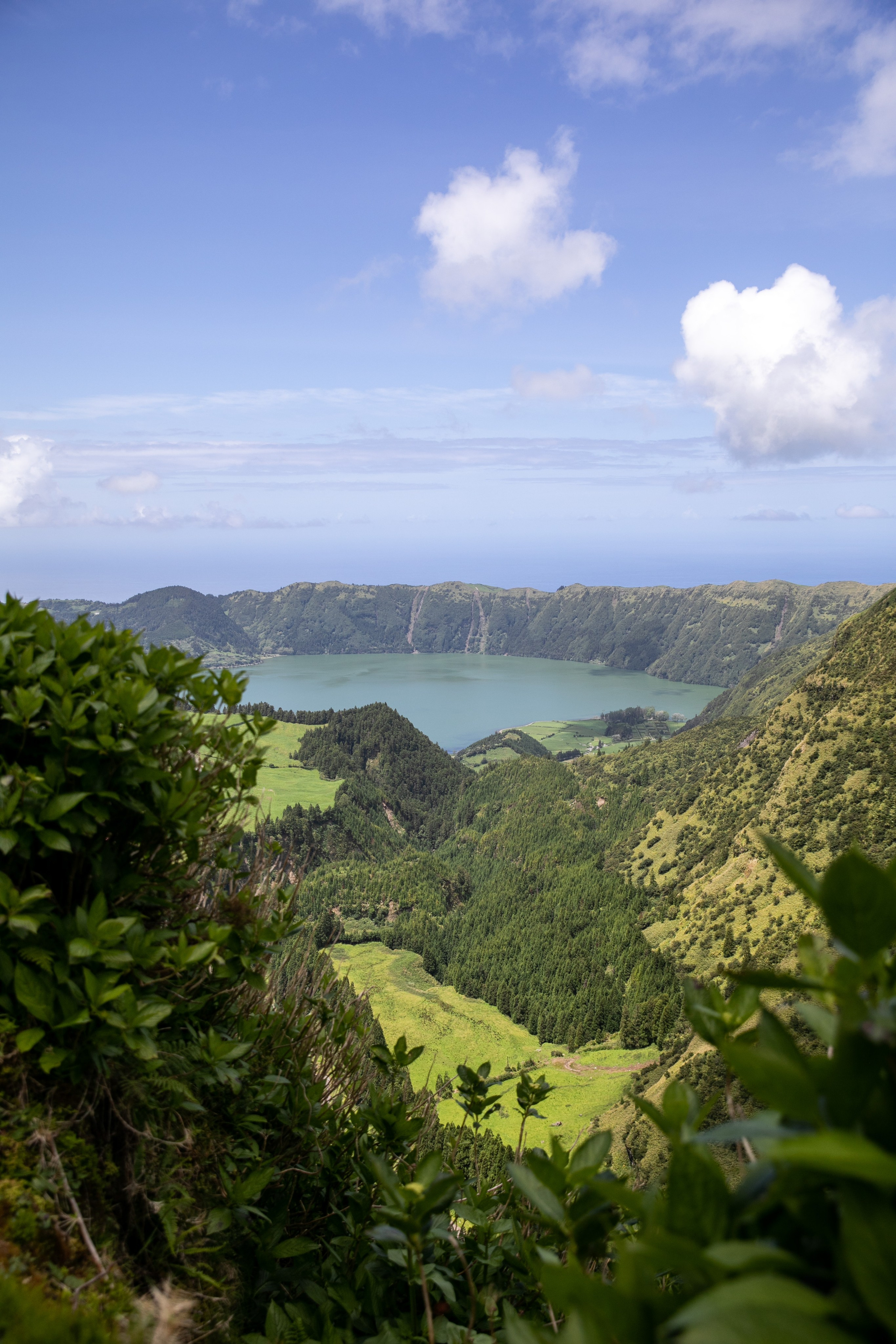 Lush green landscapes of the Azores, with rolling hills, colourful flowers, and the deep blue ocean in the distance