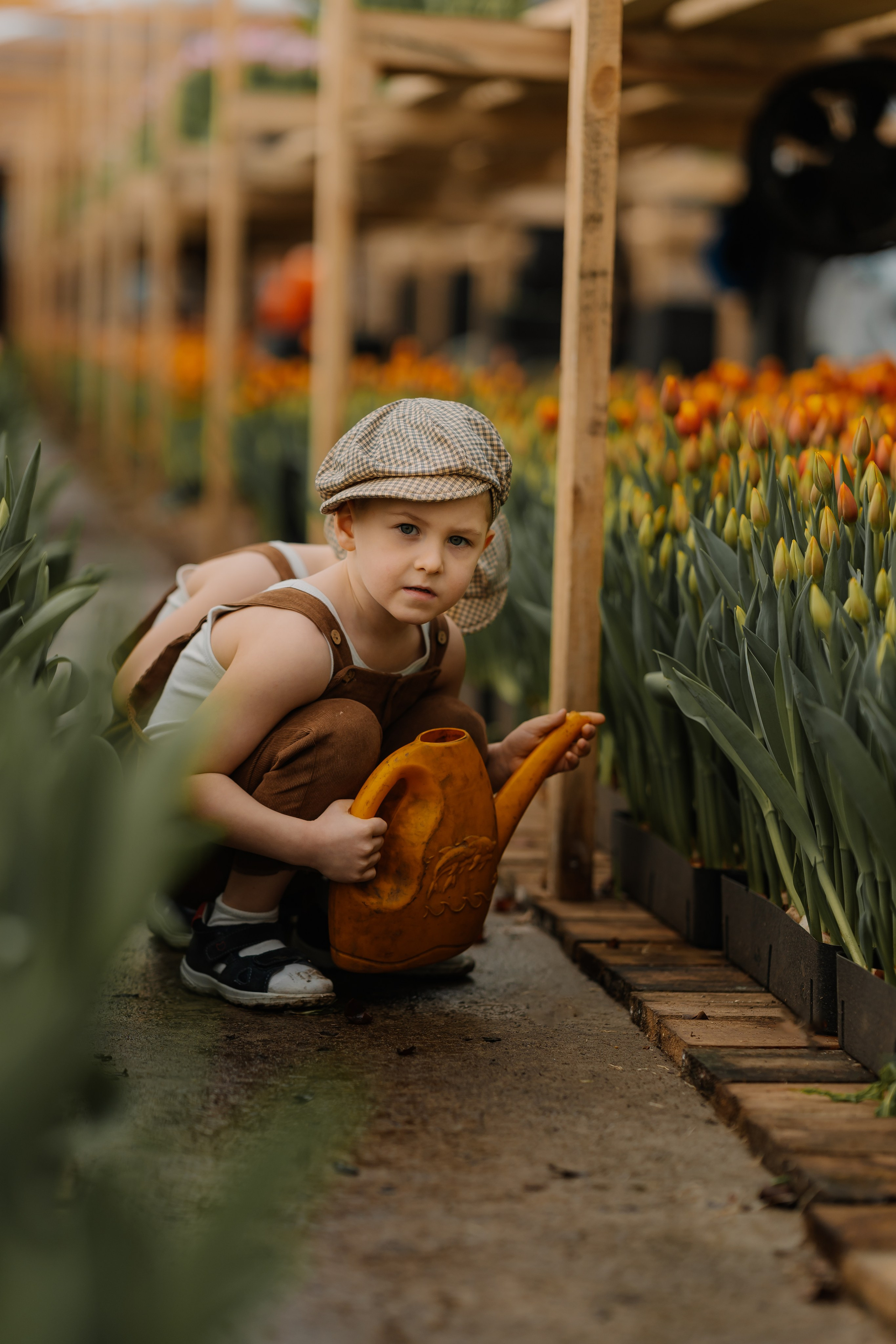 Мальчишки в тюльпанах. СВАДЕБНЫЙ ФОТОГРАФ КРАСНОЯРСК
