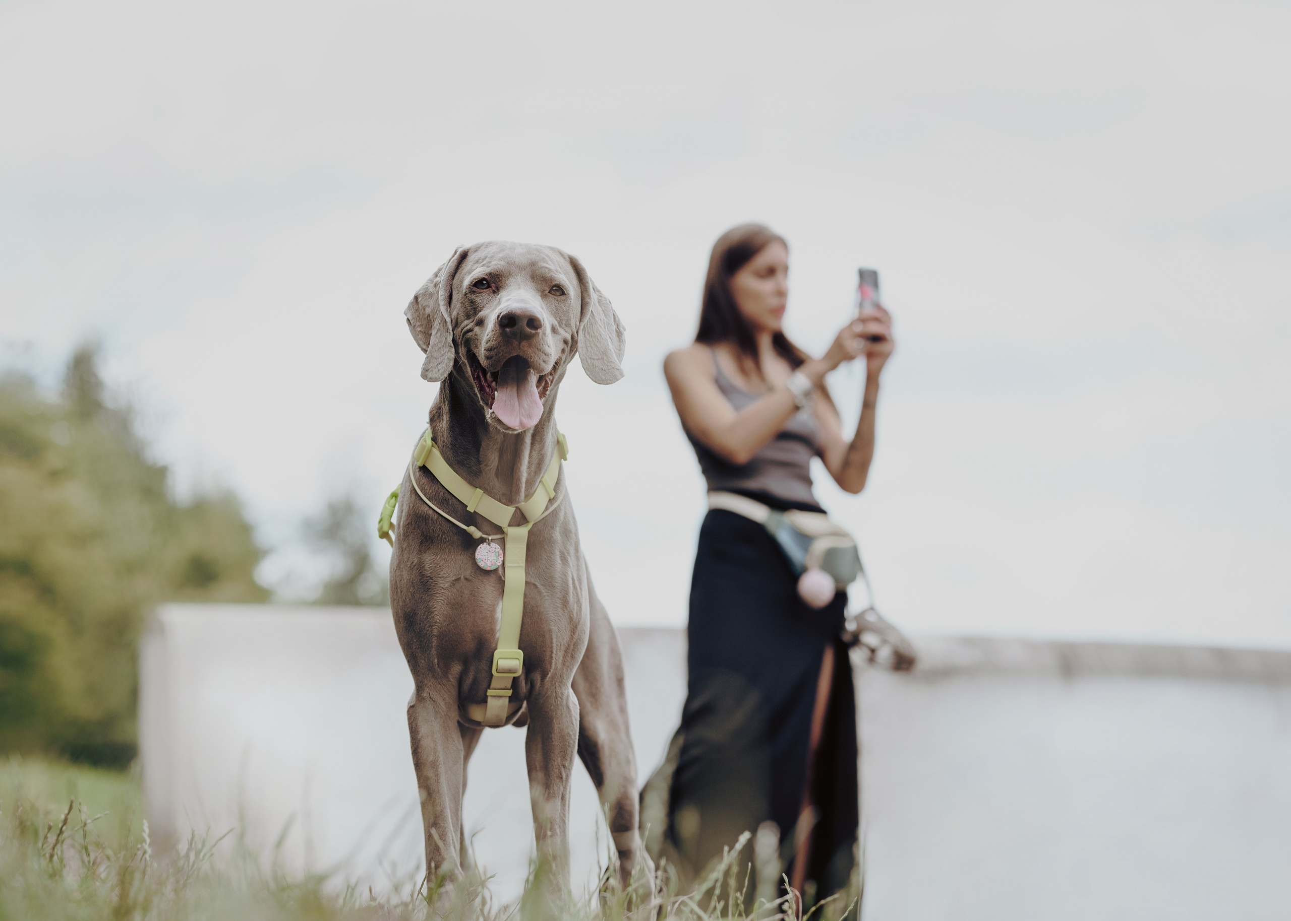 Фотограф- анималист Александра Матвеева