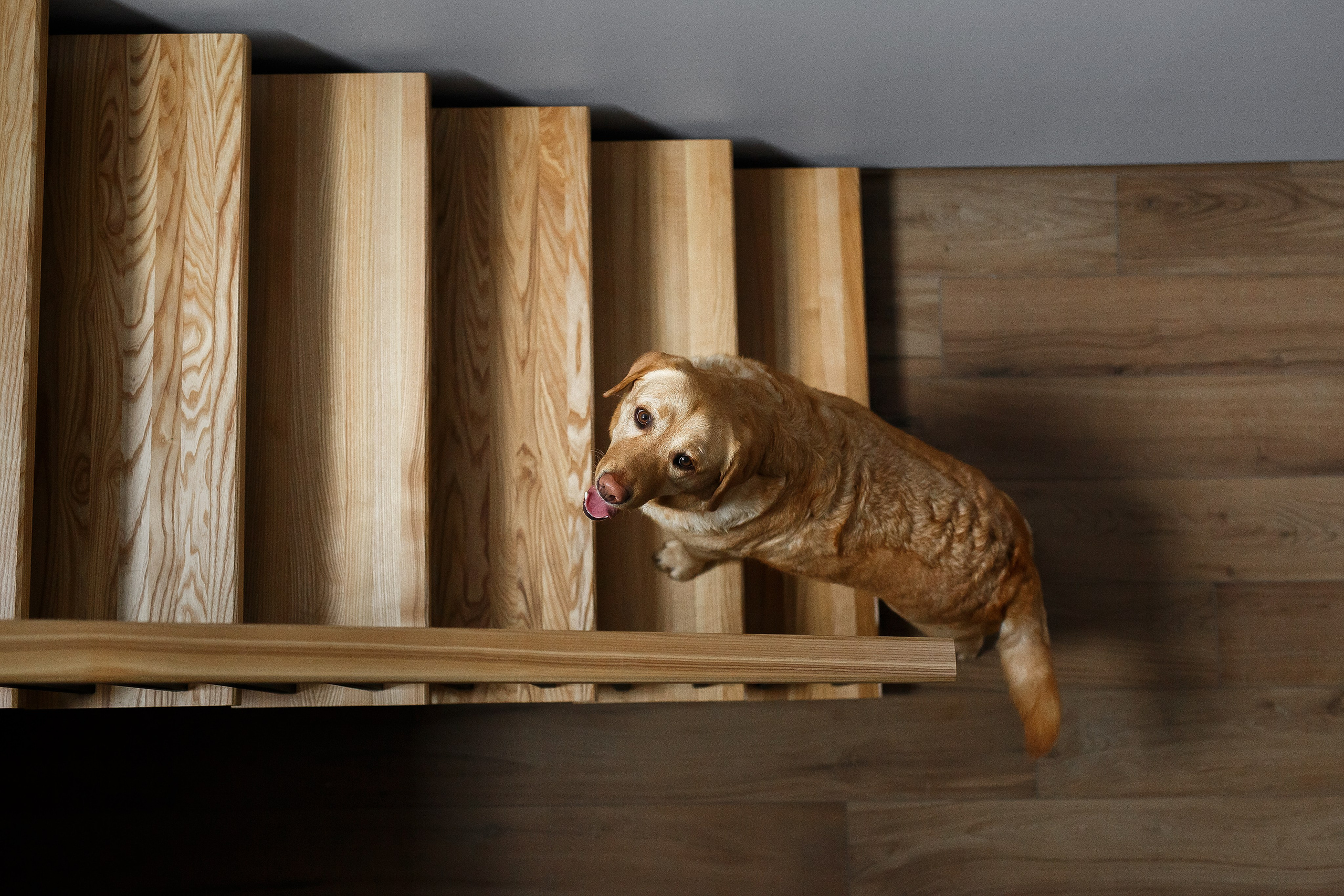 Домашние семейные съёмки. Семейный фотограф в Брянске Александра Щербакова