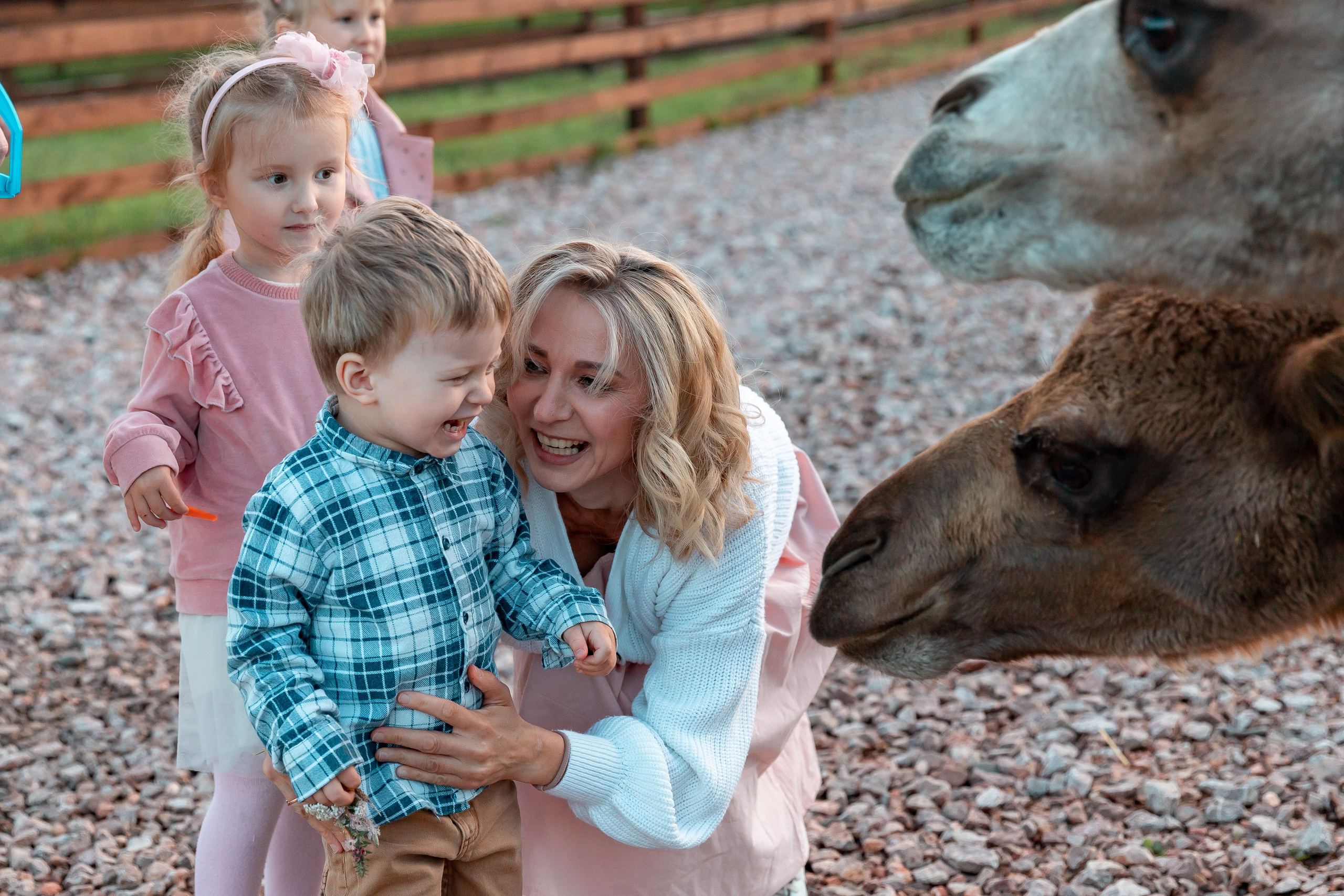 Прогулка на ранчо. Детский и семейный фотограф в Красноярске Юлия Бирюкова