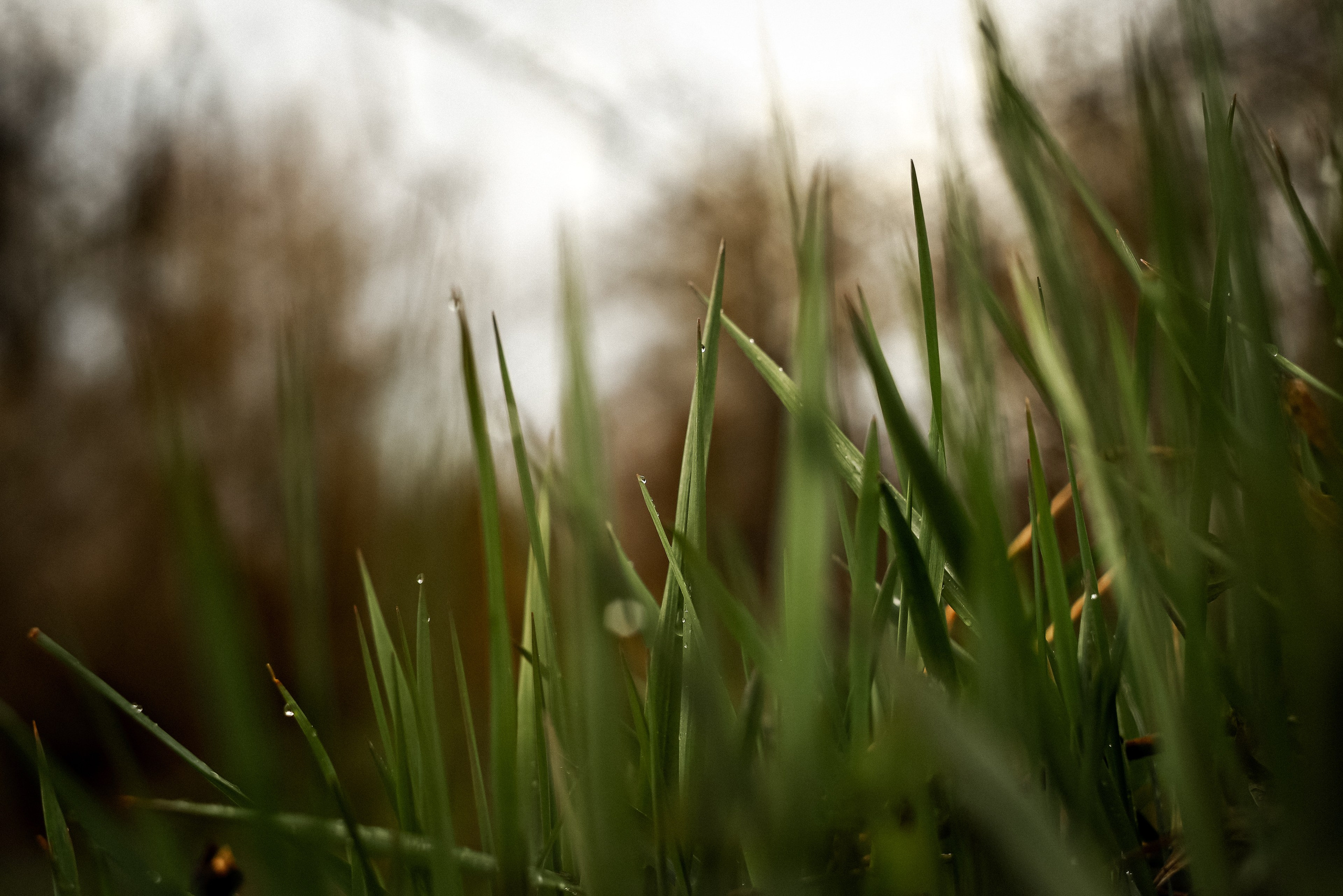 Магия обыкновенного. Фотограф-документалист и фототерапевт Настя Китаева. Город Москва