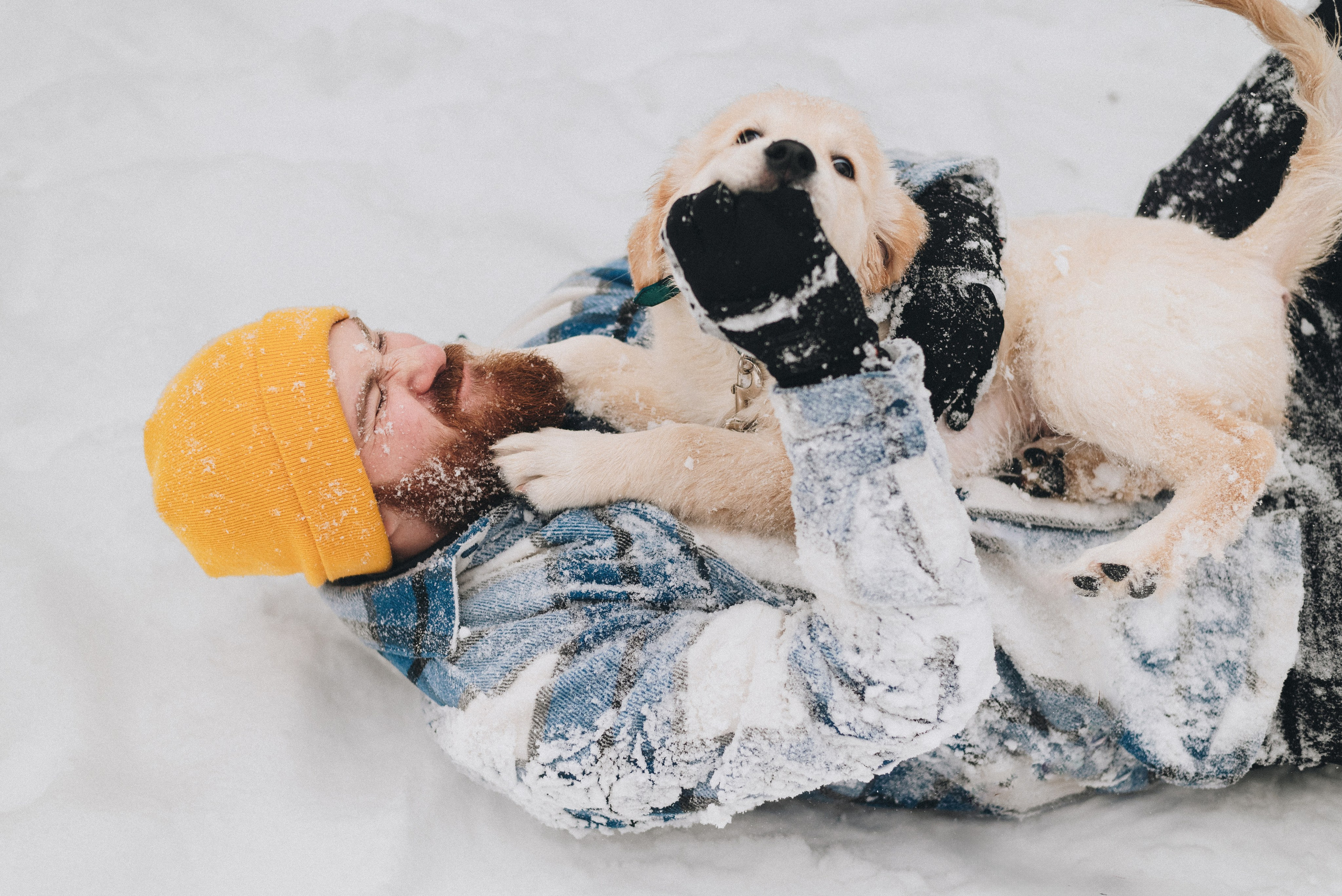 Sonia, Denis & Baggi. Natalia Finch Photography — Family, Kids & Pet Photographer in Chicago, IL