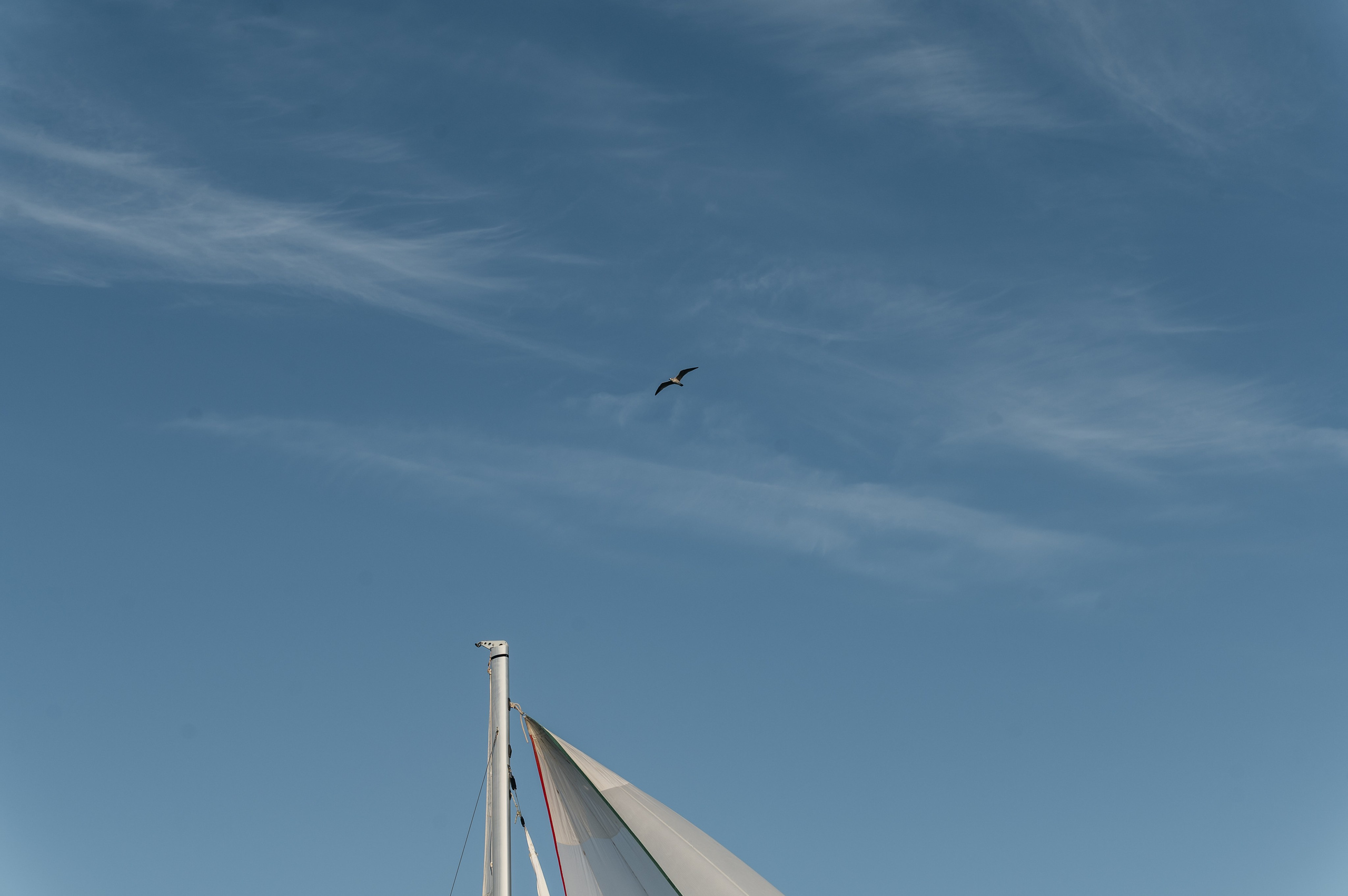 Яхтинг. Фотограф Илья Бызов, Свадебный и репортажный фотограф Сочи